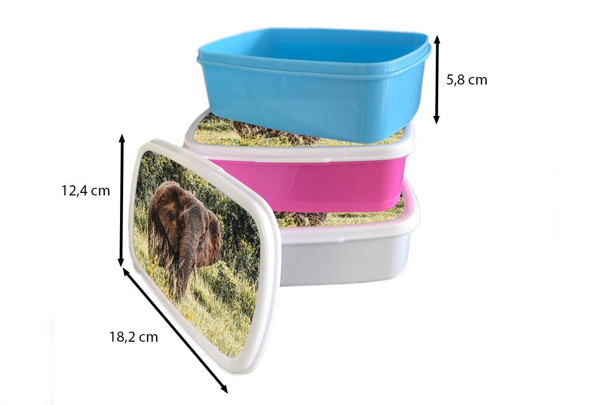 - Brotdose, (2-tlg), weiß Kinder für für Natur MuchoWow und Brotbox Erwachsene, Lunchbox Gras, Kunststoff, - Jungs und Mädchen Elefant