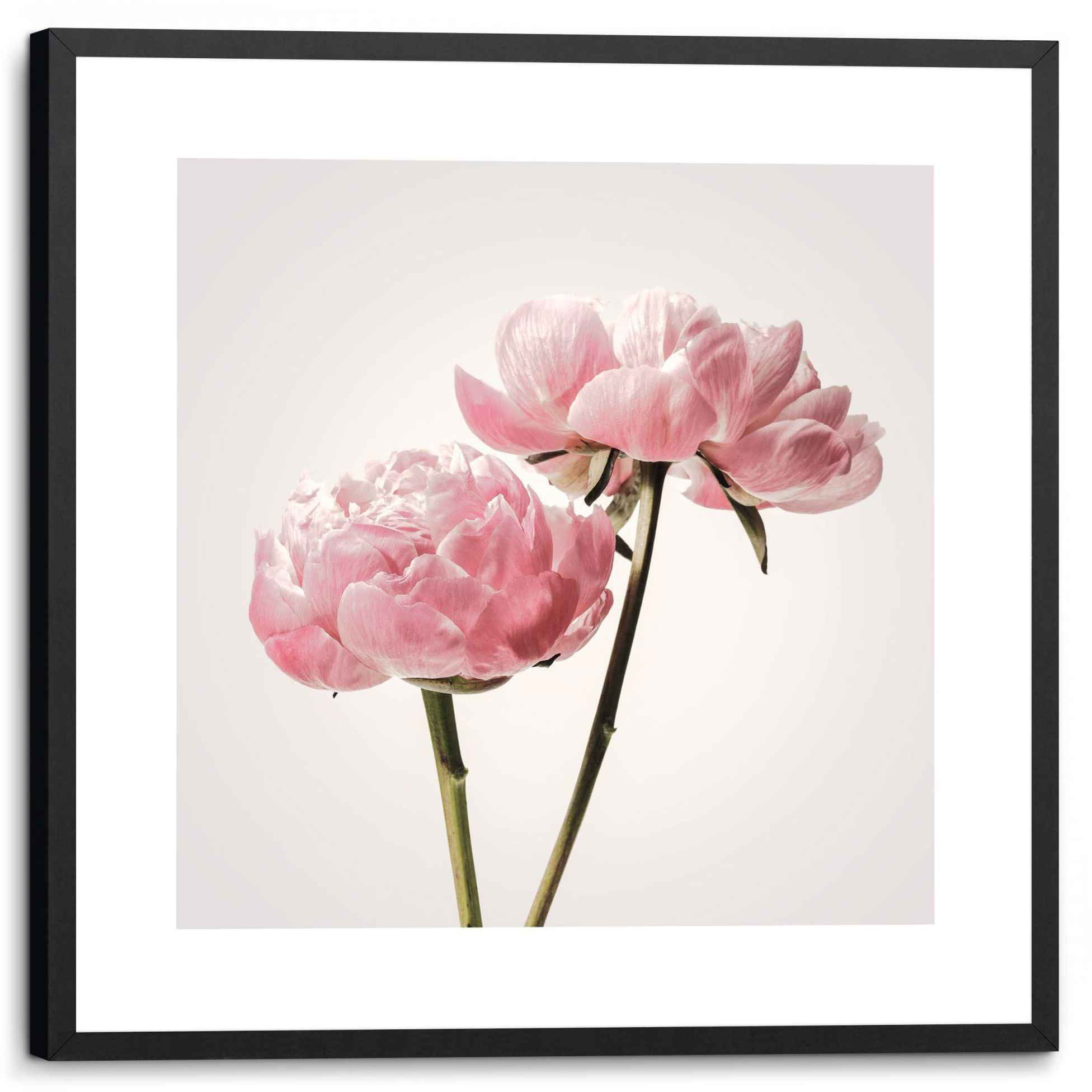 Blumen Bild Blüten Romantisch, Reinders! St) Gerahmtes (1 Pfingstrosenblüten Bild Blumen - -