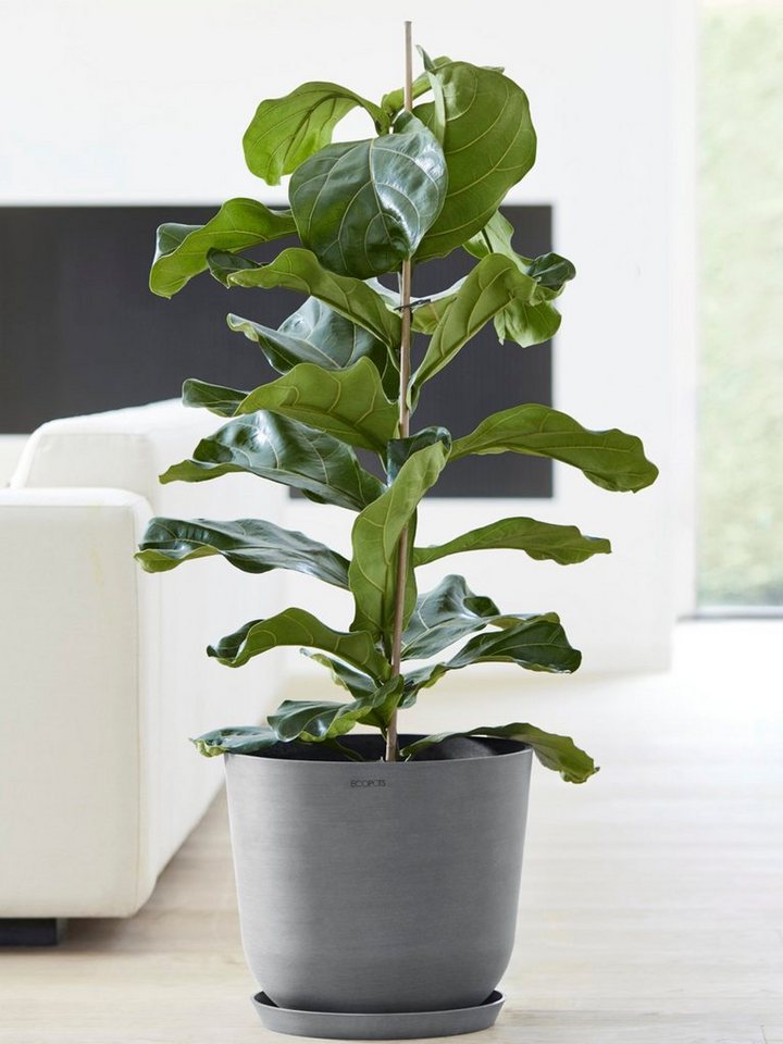 Thumbnail - ECOPOTS Blumentopf Oslo 35 + Wassersystem Grau, für innen und außen: frostsicher, bruchsicher und lichtbeständig
