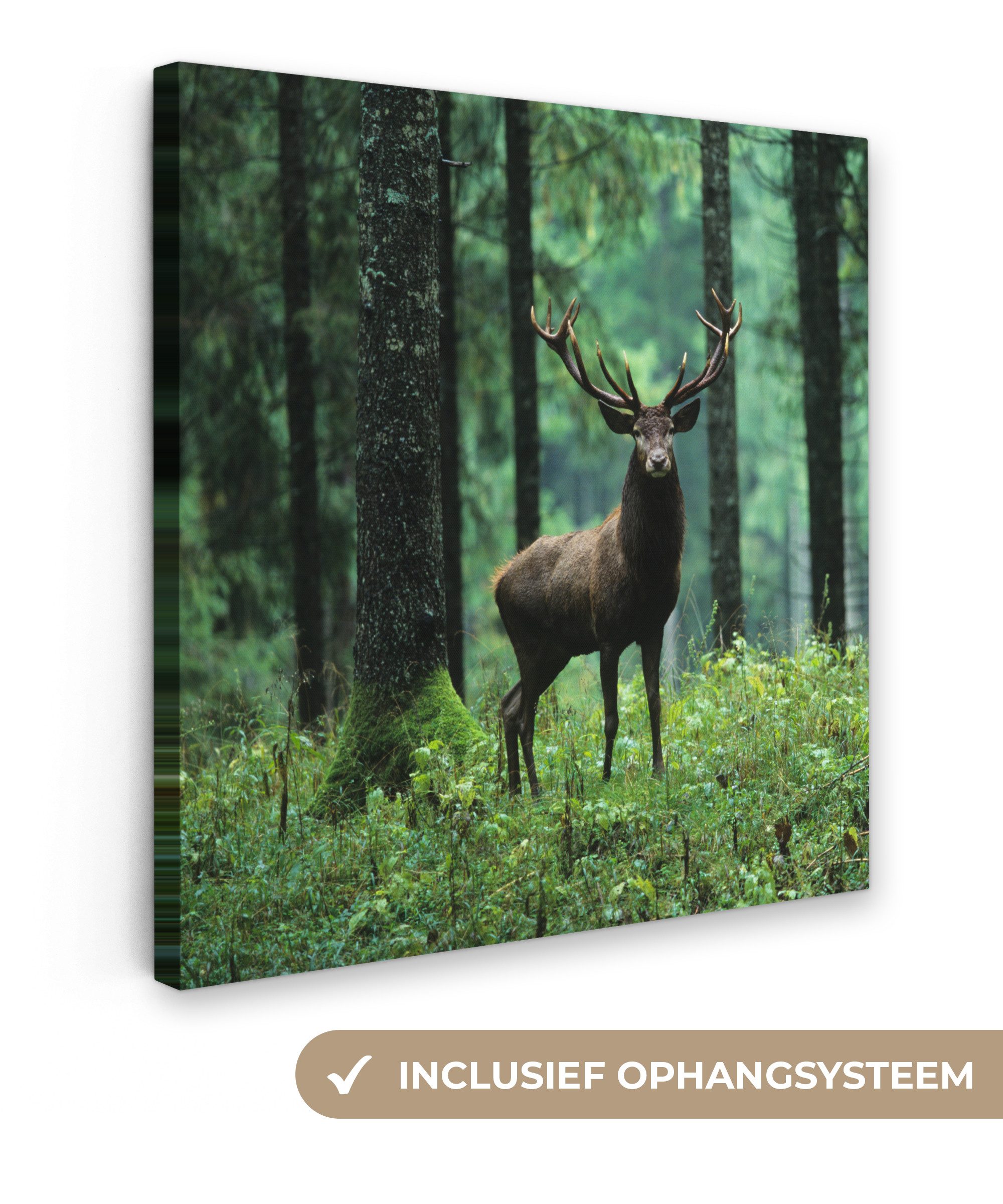 OneMillionCanvasses® Leinwandbild Hirsche - Wald - Bäume - Tiere - Natur, Fotodruck (1 St), Wandbild, Deko Schlafzimmer Wohnzimmer Flur 20x20 cm