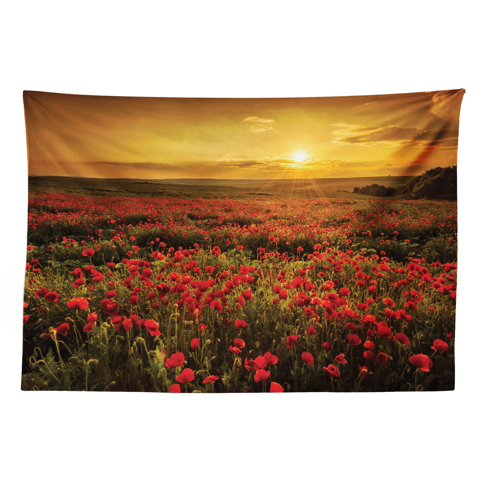 Abakuhaus Wandteppich aus Weiches Mikrofaser Stoff Für das Wohn und Schlafzimmer, rechteckig, Mohn Sunset Meadow Ackerland