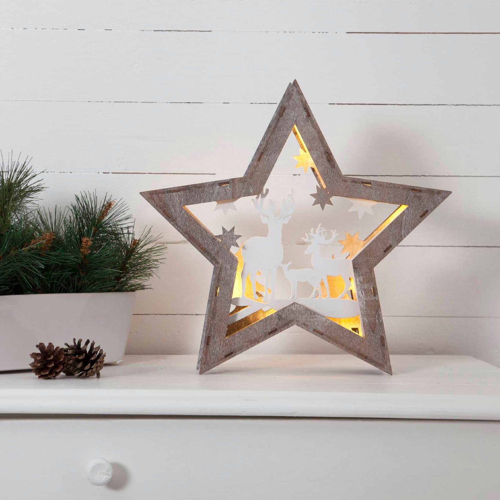 STAR TRADING LED Dekolicht Star Trading Weihnachtsdeko Fauna Fauna, Tischdeko von Star LED Trading, Ster