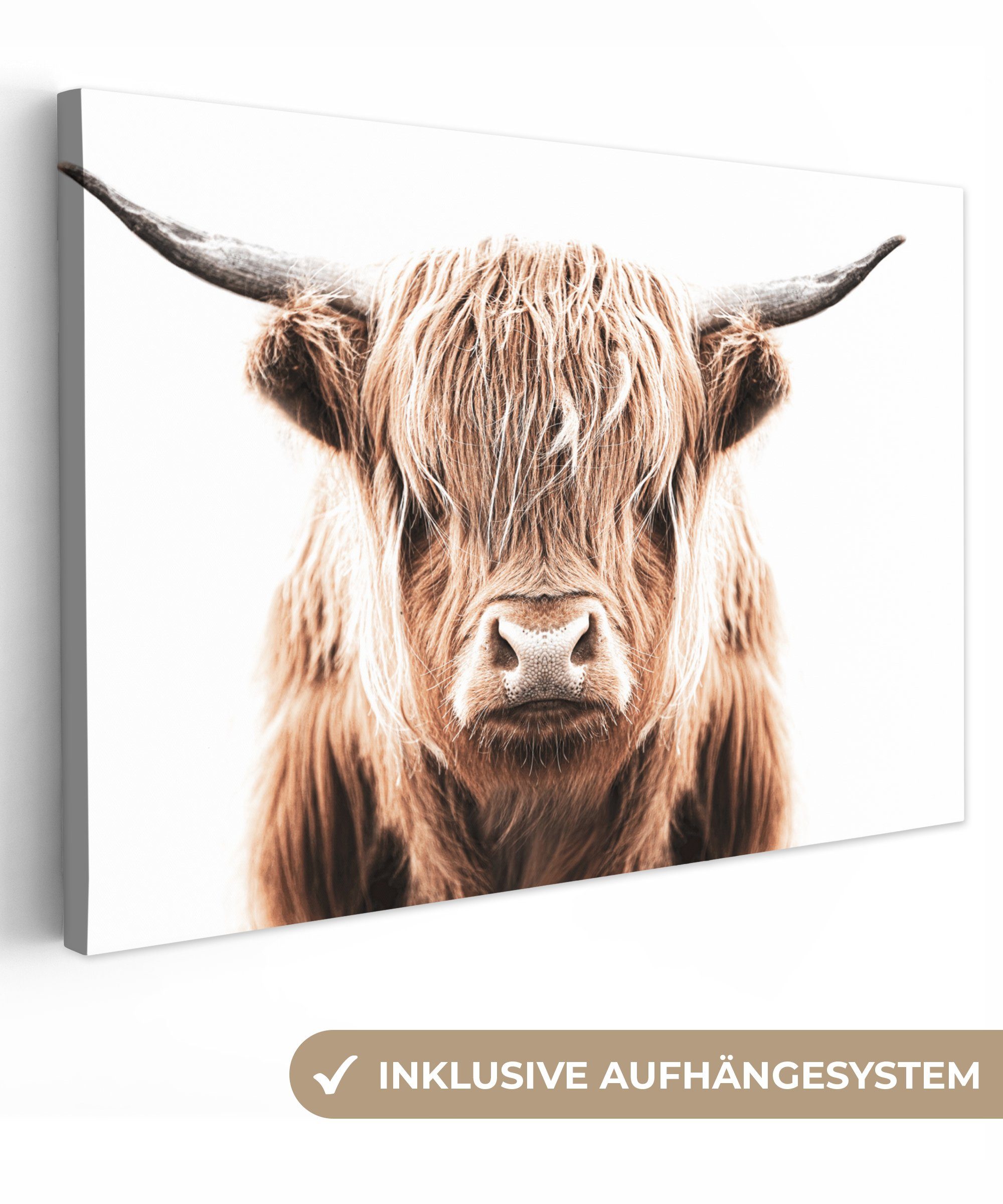 OneMillionCanvasses® Leinwandbild Schottischer Highlander - Kuh - Stier, (1 St), Wandbild Leinwandbilder, Aufhängefertig, Wanddeko, 30x20 cm