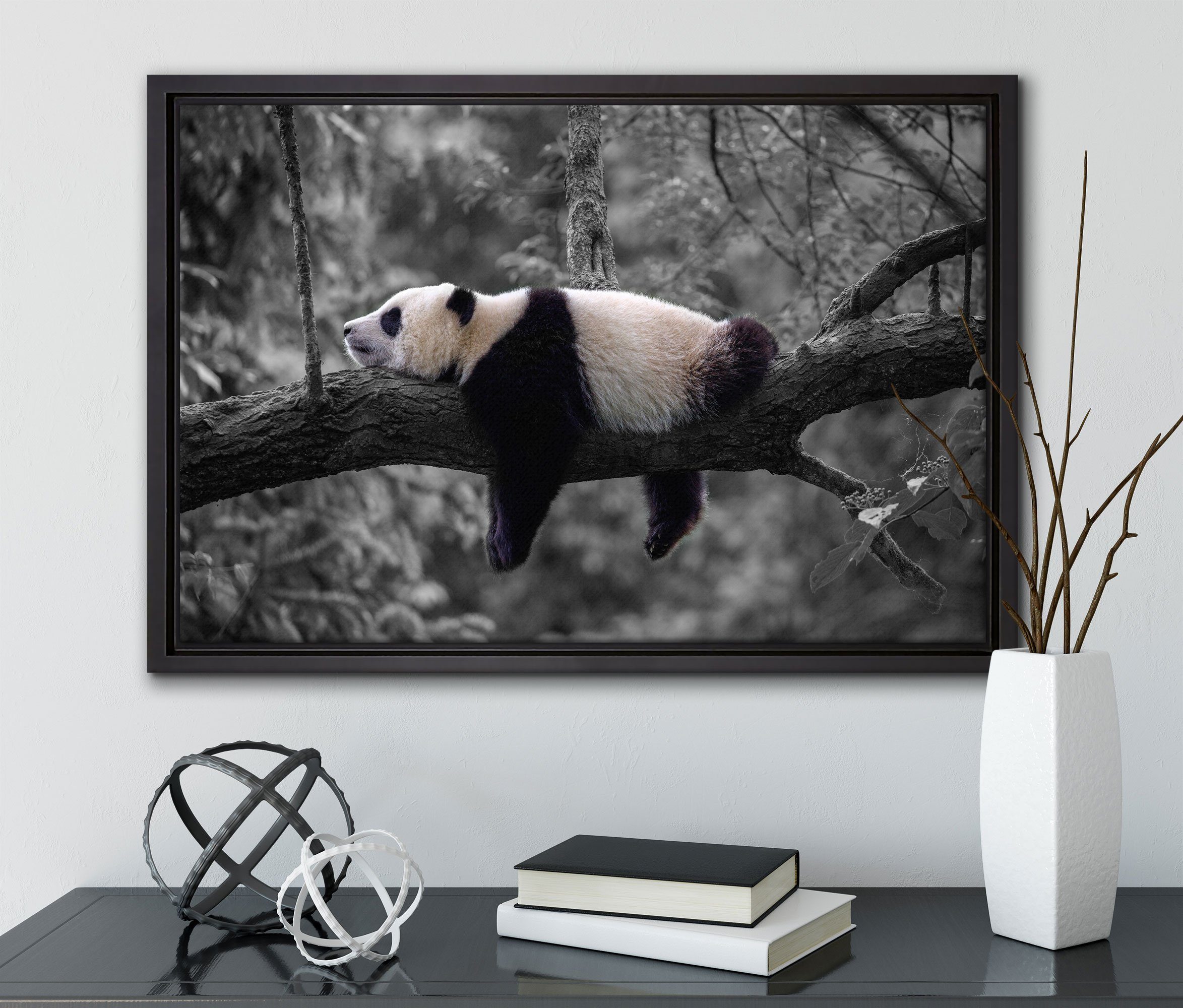 Detail, fertig Schlafender inkl. Zackenaufhänger Panda bespannt, in St), Schattenfugen-Bilderrahmen Baumstamm auf einem Wanddekoration Leinwandbild Leinwandbild (1 B&W Pixxprint gefasst,