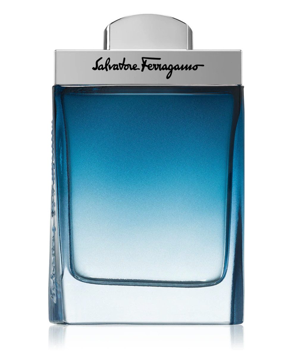 Salvatore Ferragamo Eau de Toilette Subtil Pour Homme Eau de Toilette Parfum Versiegelt 100ML, Harmonischen Balance aus Frische,Wärme,maskuliner Tiefe
