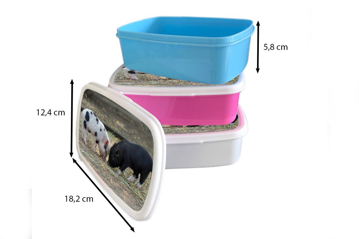 Kunststoff, für Ferkel und Mädchen Jungs - Lunchbox MuchoWow - Erwachsene, für Stroh, und Brotdose, weiß Brotbox Schweine (2-tlg), Kinder