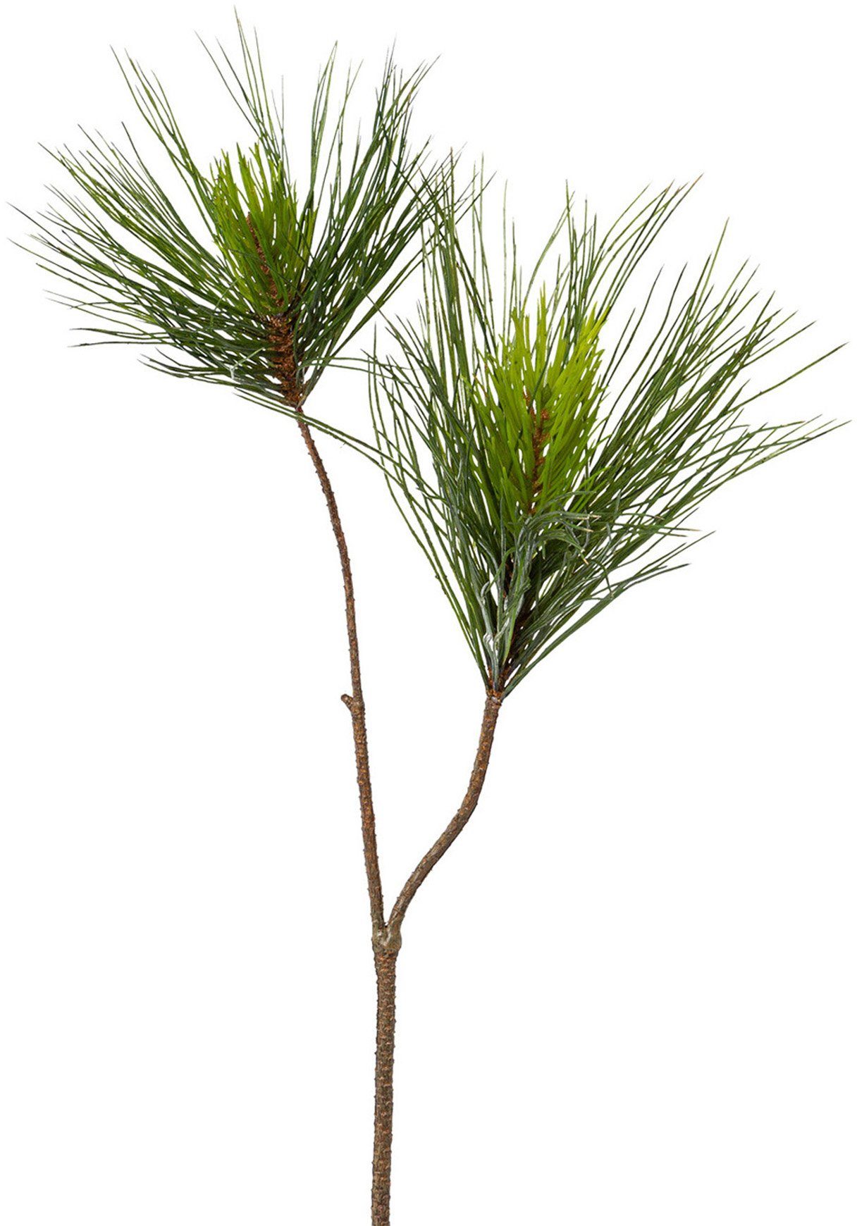 Winterliche Kunstpflanze Weihnachtsdeko Schwarzkiefer, Creativ green, Höhe günstig online kaufen