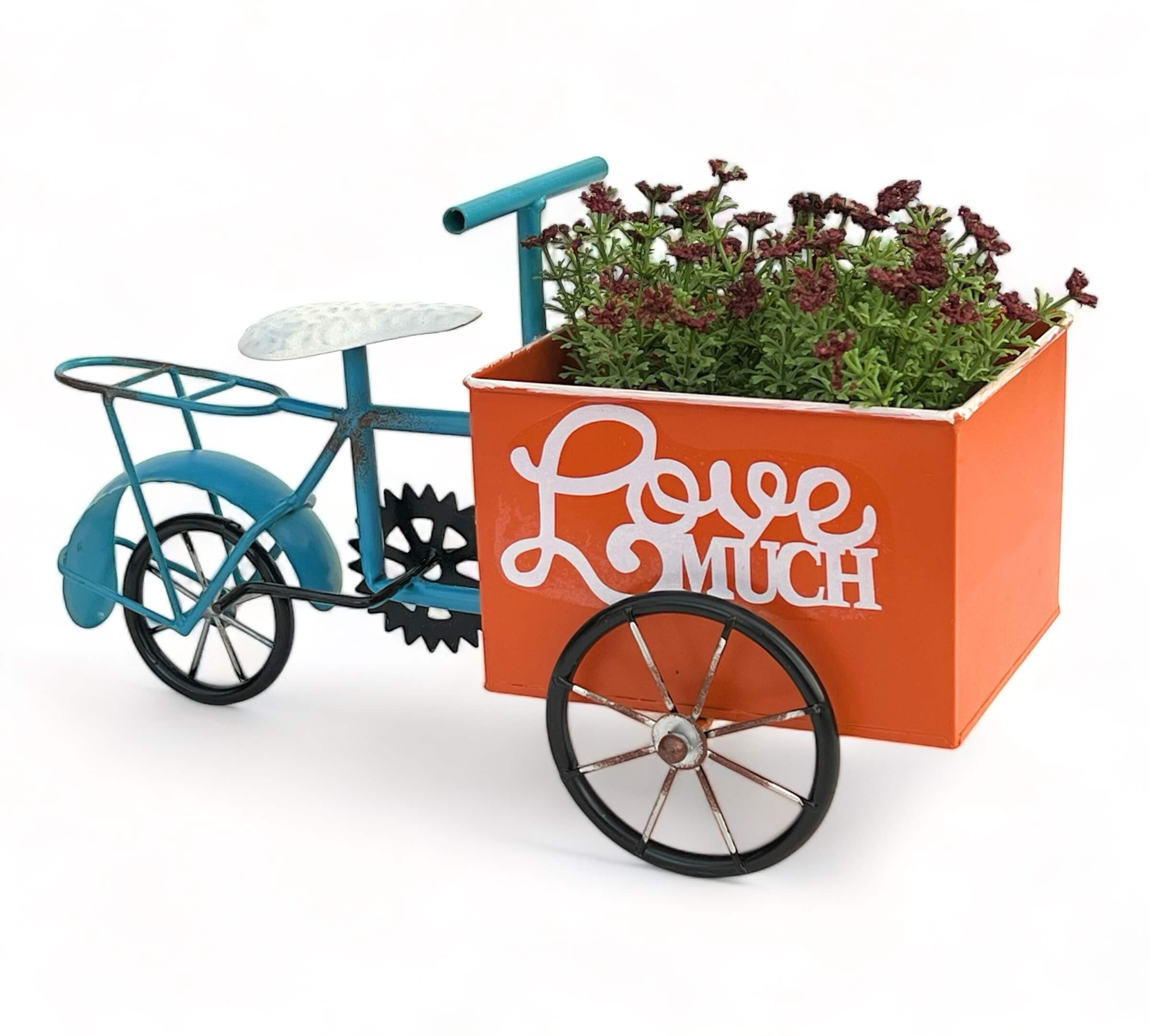 DanDiBo Pflanzentreppe Blumenfahrrad für Garten Metall Stehend Fahrrad Blau Orange