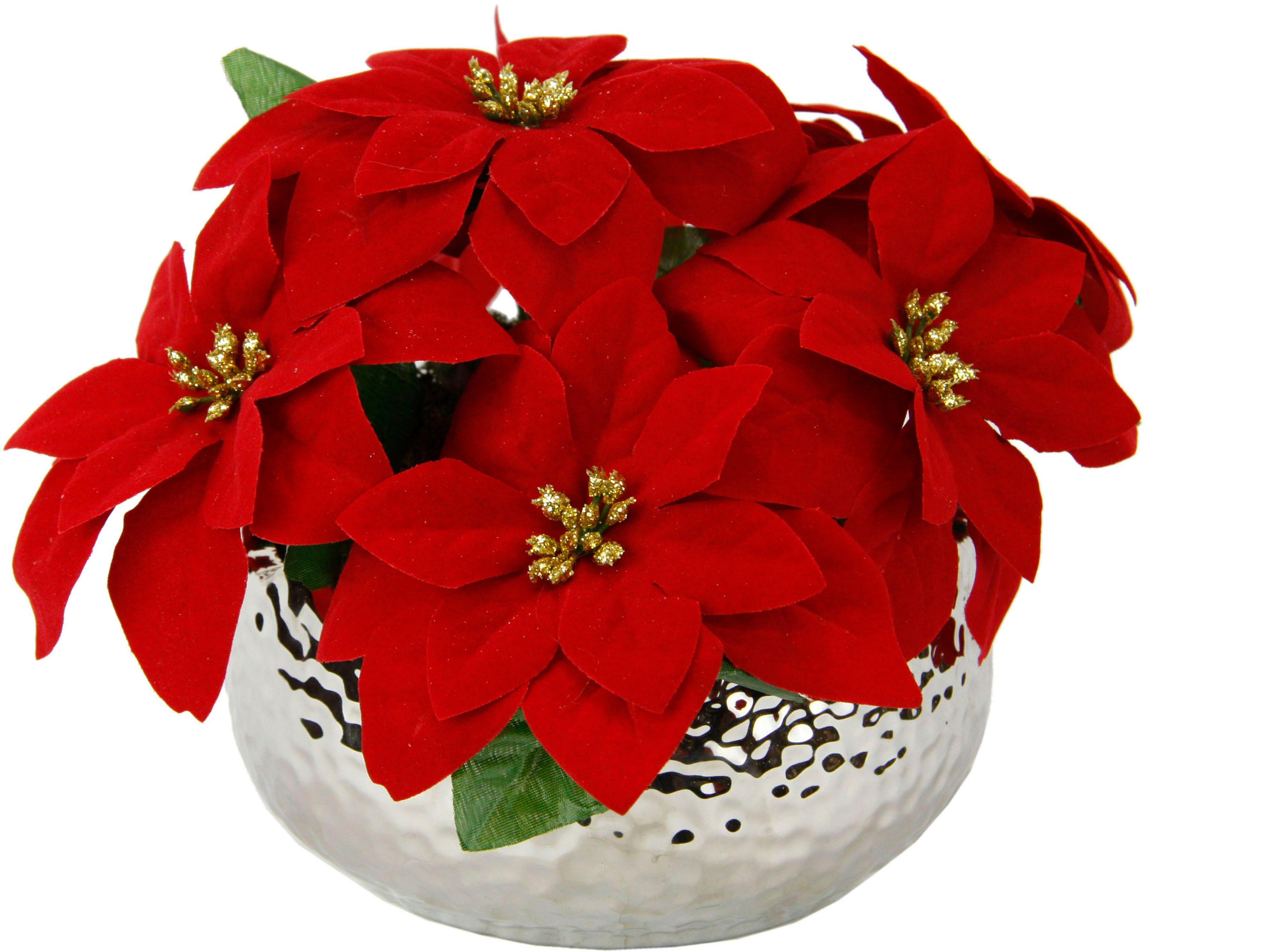 Kunstpflanze Poinsettia, I.GE.A., Höhe 16 cm