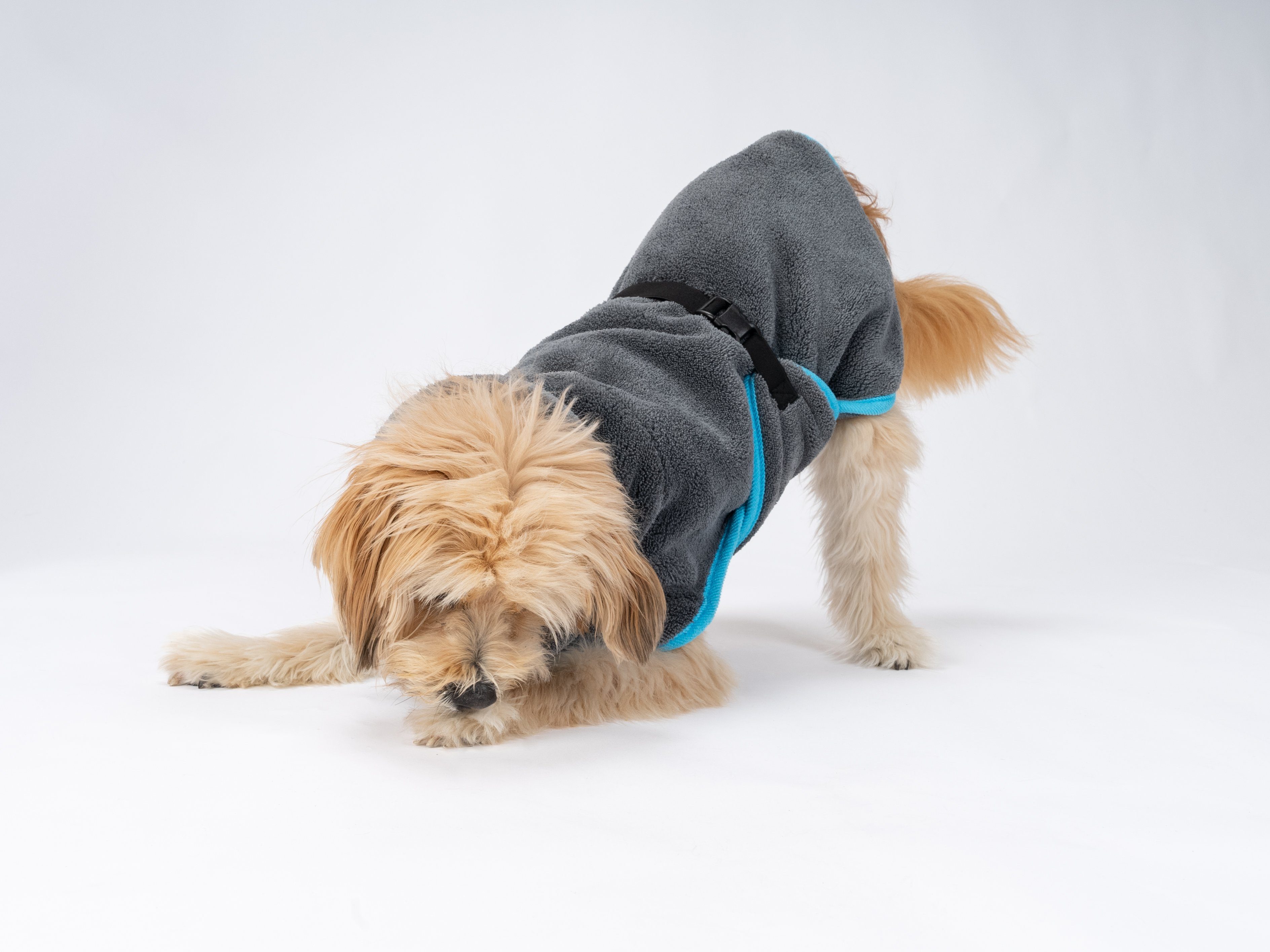 TrendPet Hundebademantel Dampfhund, 11 verschiedene Größen