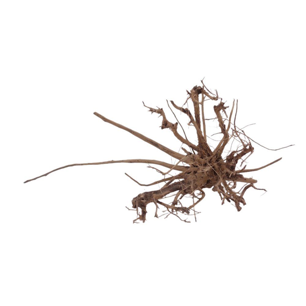 Thumbnail - Aquaone Aquarium XL Siennawurzel Nr.5348 Wurzel Holz Aquarium Deko Aquascaping