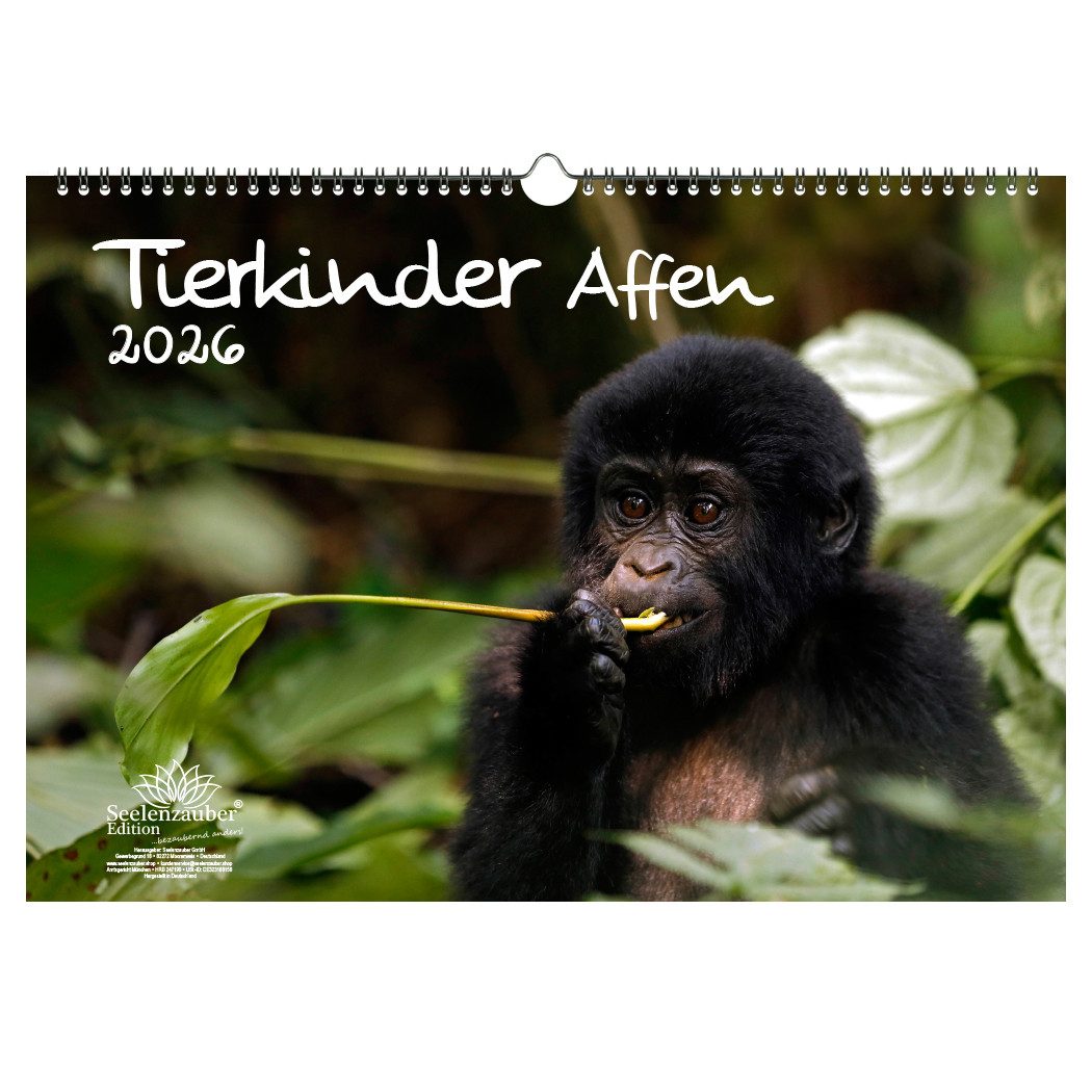 Seelenzauber Wandkalender Tierkinder Affen DIN A3 Kalender für 2026 - Seelenzauber