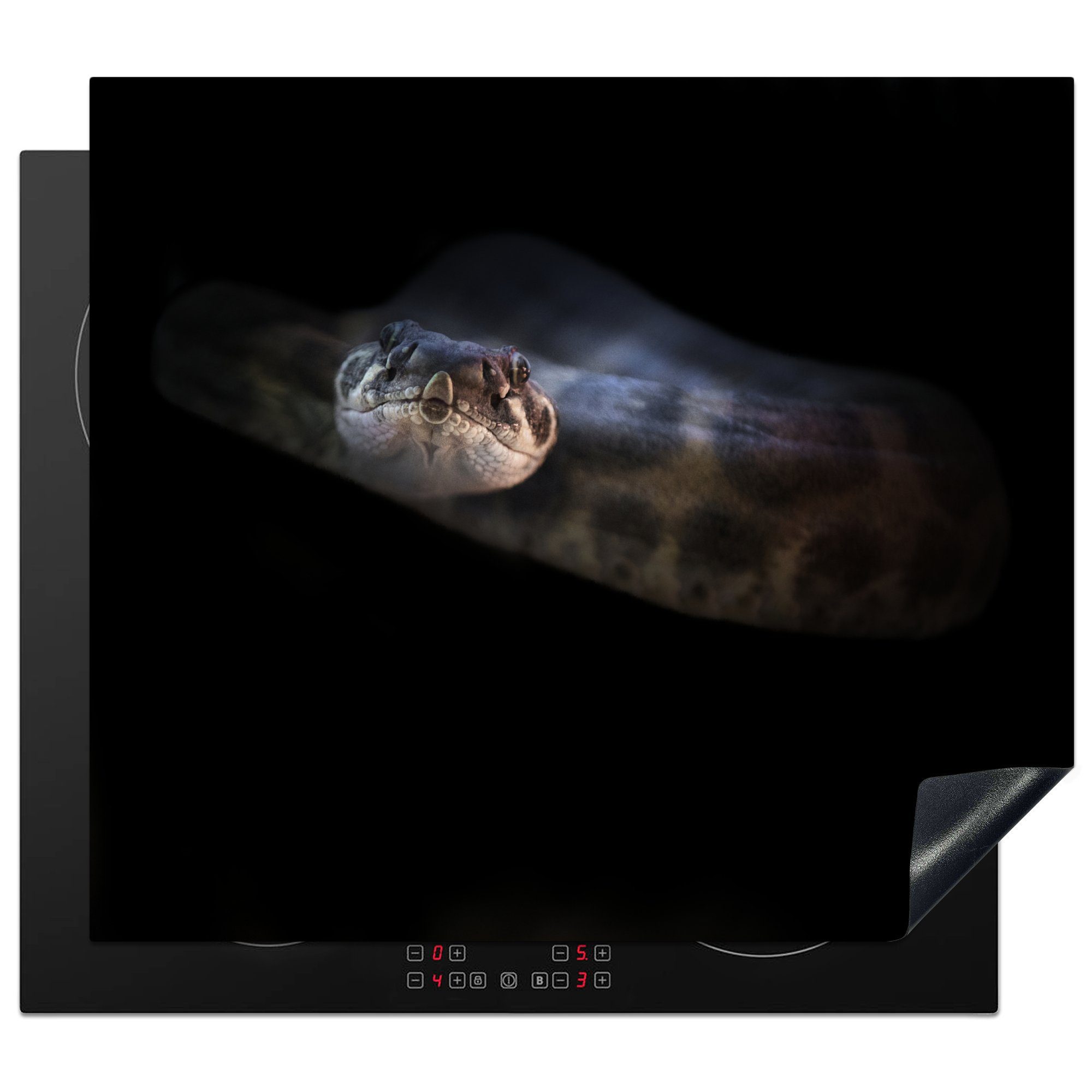 MuchoWow Herdblende-/Abdeckplatte Eine beleuchtete Klapperschlange in dunkler Umgebung, Vinyl, (1 tlg), 59x52 cm, Ceranfeldabdeckung für die küche, Induktionsmatte