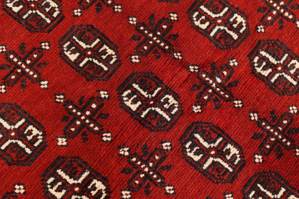 Handgeknüpfter Trading, Afghan Höhe: rechteckig, Nain Akhche mm 150x194 6 Orientteppich Orientteppich,