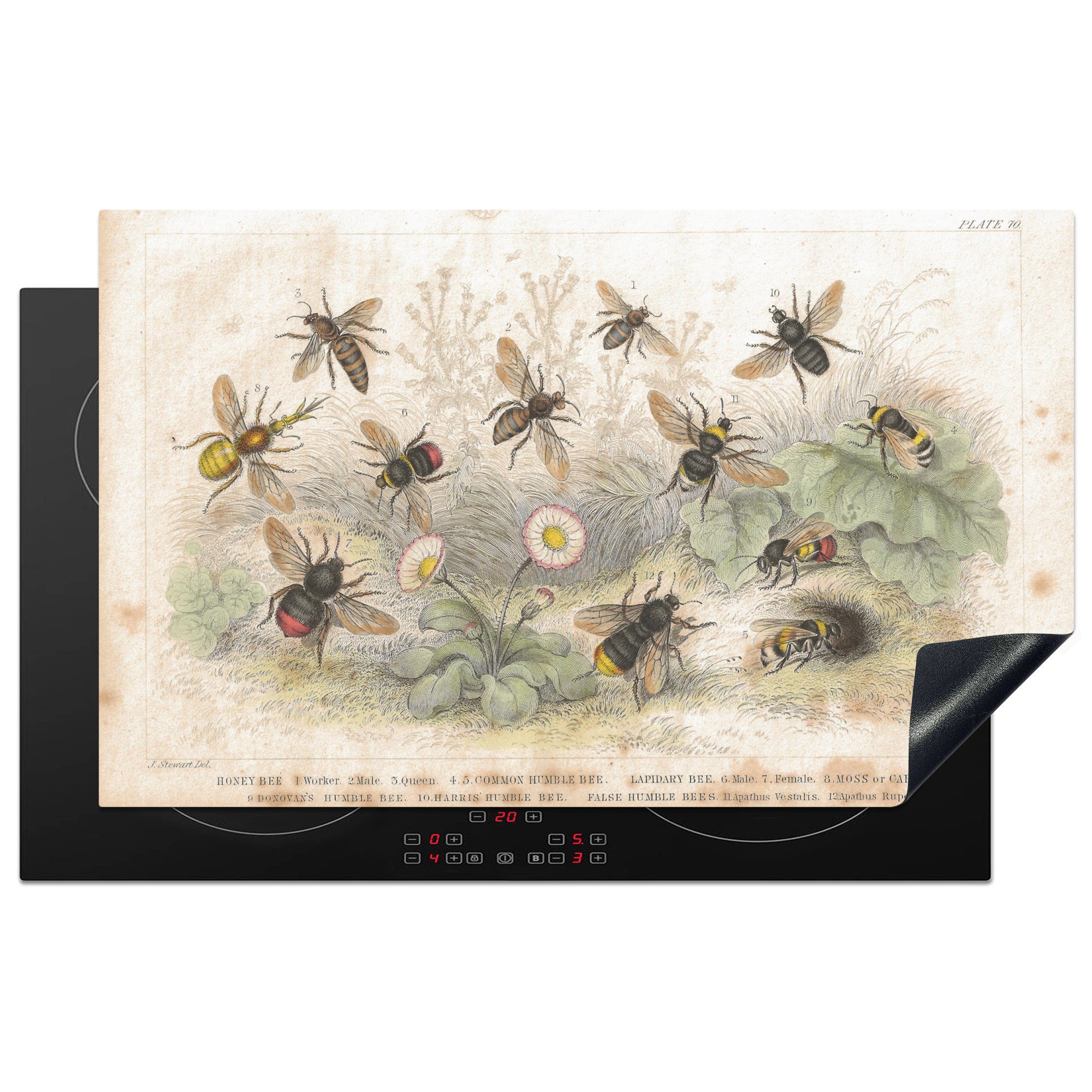 MuchoWow Herdblende-/Abdeckplatte Eine Illustration einer Gruppe von Bienen, Vinyl, (1 tlg), 83x51 cm, Ceranfeldabdeckung, Arbeitsplatte für küche