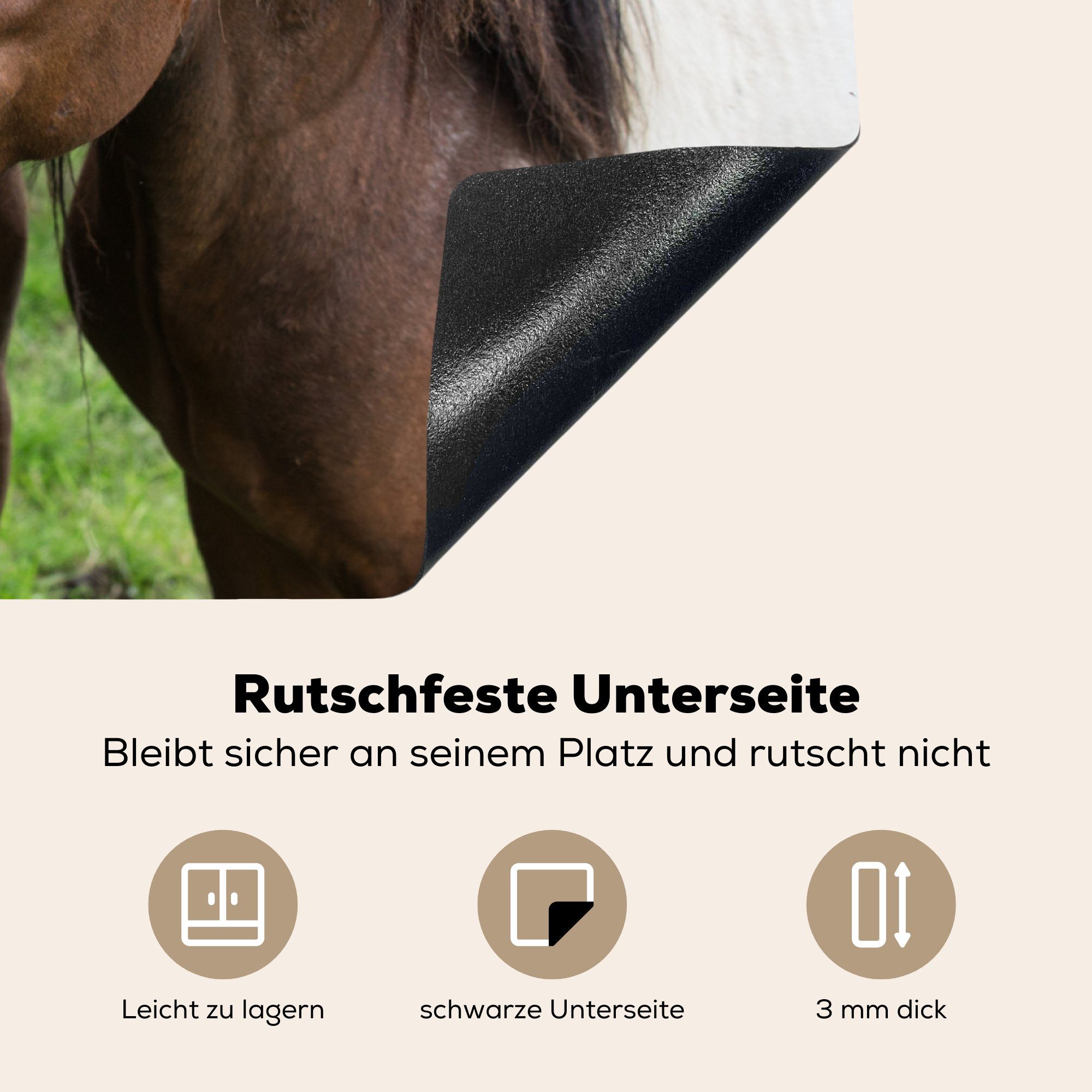 Braun, Herdblende-/Abdeckplatte für Ceranfeldabdeckung - die 81x52 Pferde Vinyl, MuchoWow - cm, Induktionskochfeld Schutz küche, Tiere tlg), (1