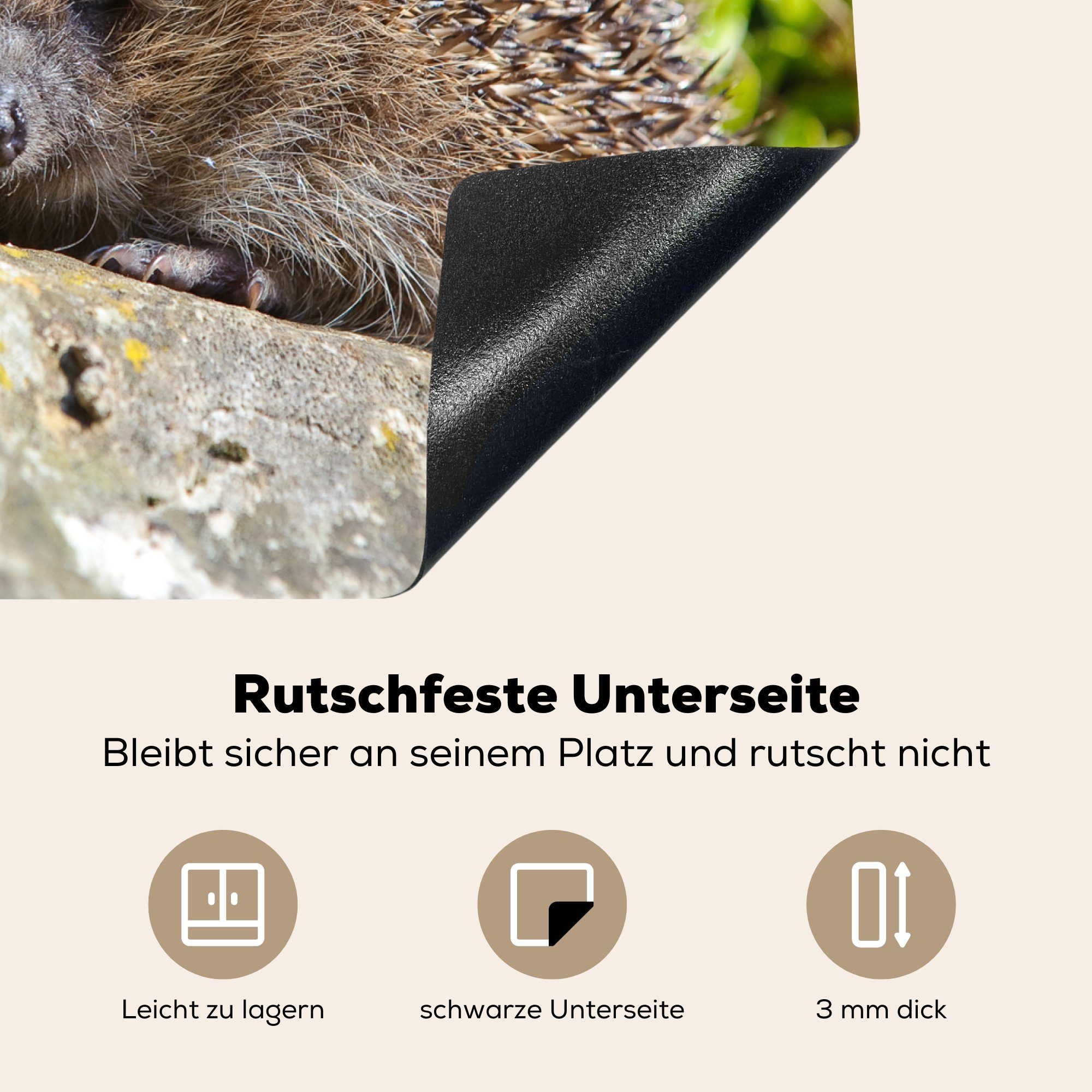 nutzbar, Igel MuchoWow Arbeitsfläche Herdblende-/Abdeckplatte liegt (1 Ceranfeldabdeckung auf einem cm, Mobile tlg), Vinyl, 60x52 Baumstumpf,