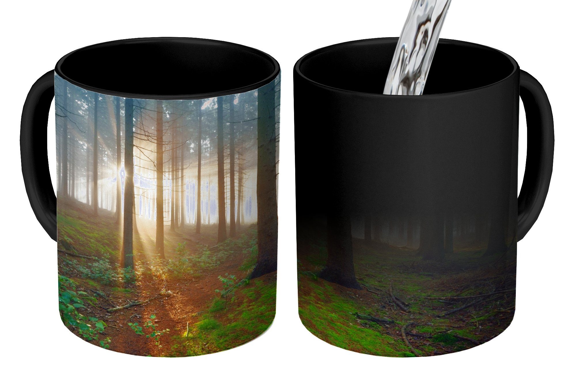 Geschenk Kaffeetassen, Teetasse, Wald Baum Pflanze, Farbwechsel, MuchoWow Zaubertasse, - - Tasse Keramik,