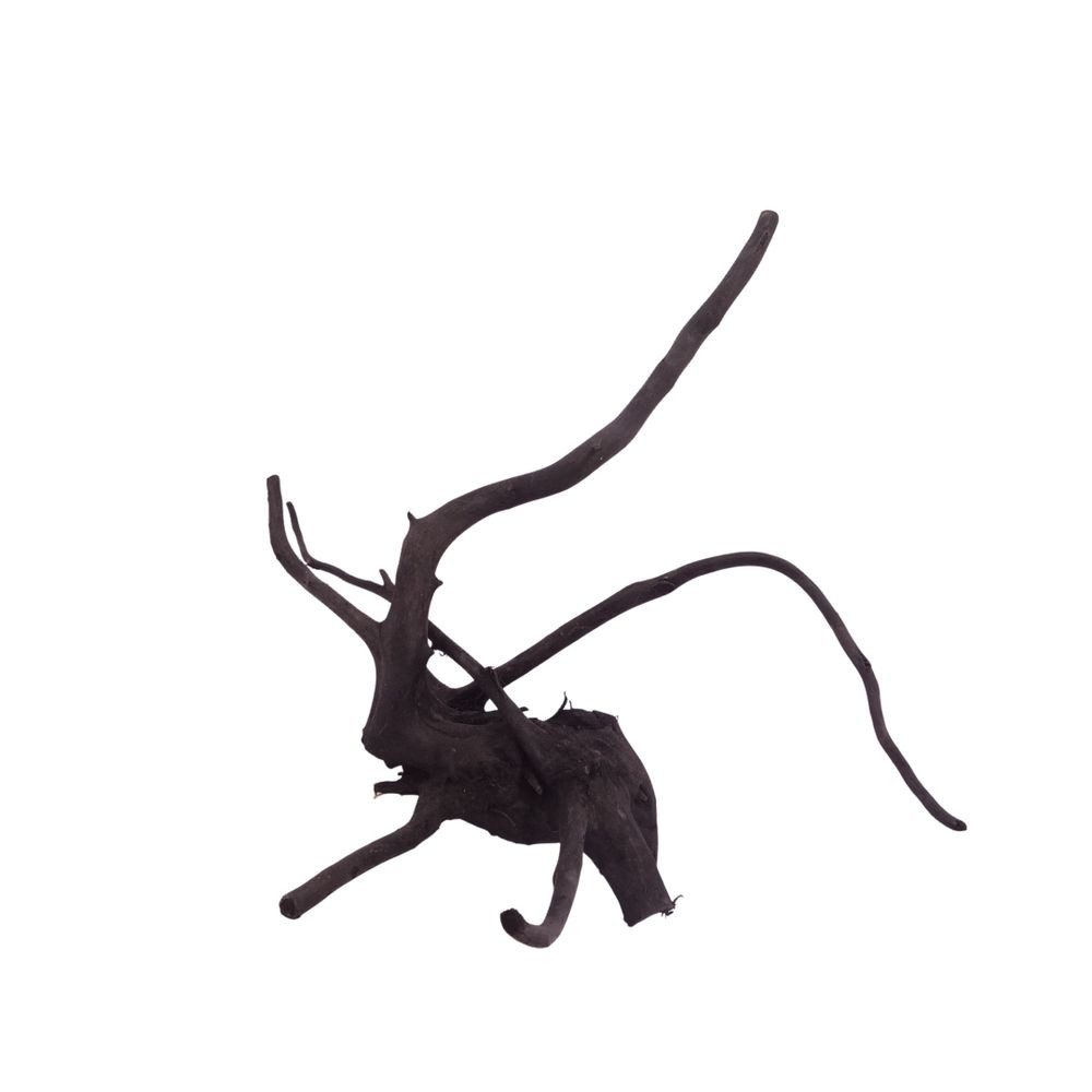 Aquaone Aquarium L Black Spider Wurzel Nr.2619 Fingerwurzel Echtholz Deko Aquascaping
