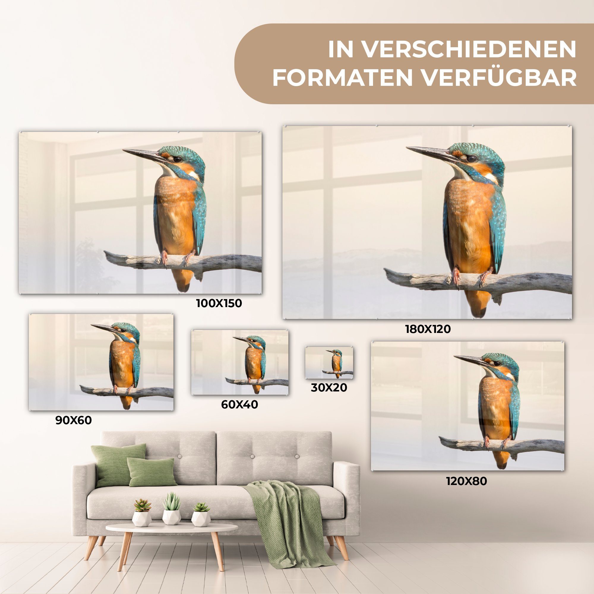 Schlafzimmer & Acrylglasbilder Acrylglasbild MuchoWow (1 - - St), Wohnzimmer Zweige Eisvogel Tiere,