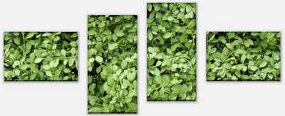 wandmotiv24 Mehrteilige Bilder Grüne Blätter Wand, Blumen und Pflanzen (Set, 4 St), Wandbild, Wanddeko, Leinwandbilder in versch. Größen