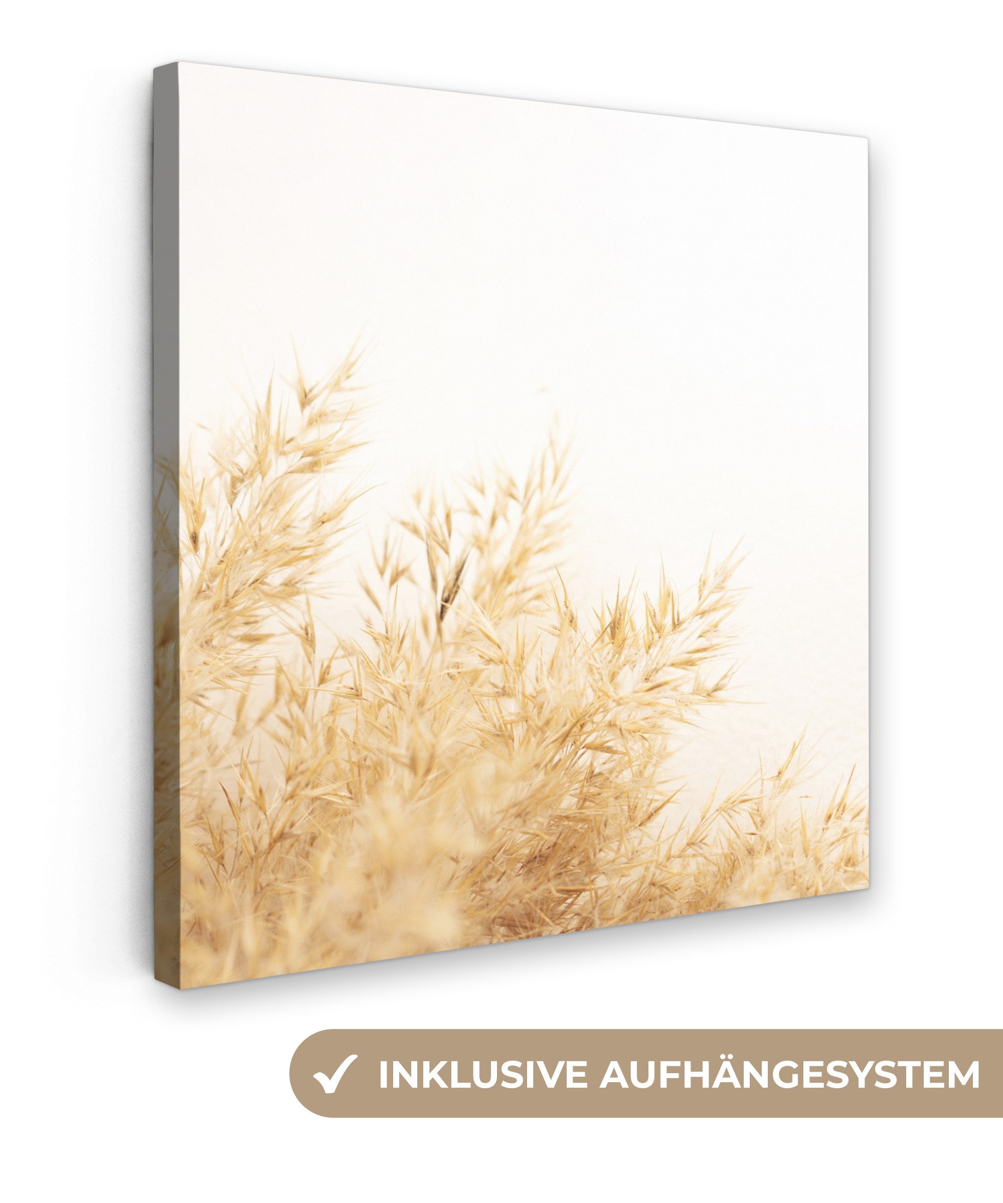 Leinwandbild Weizen - Natur - Sonne