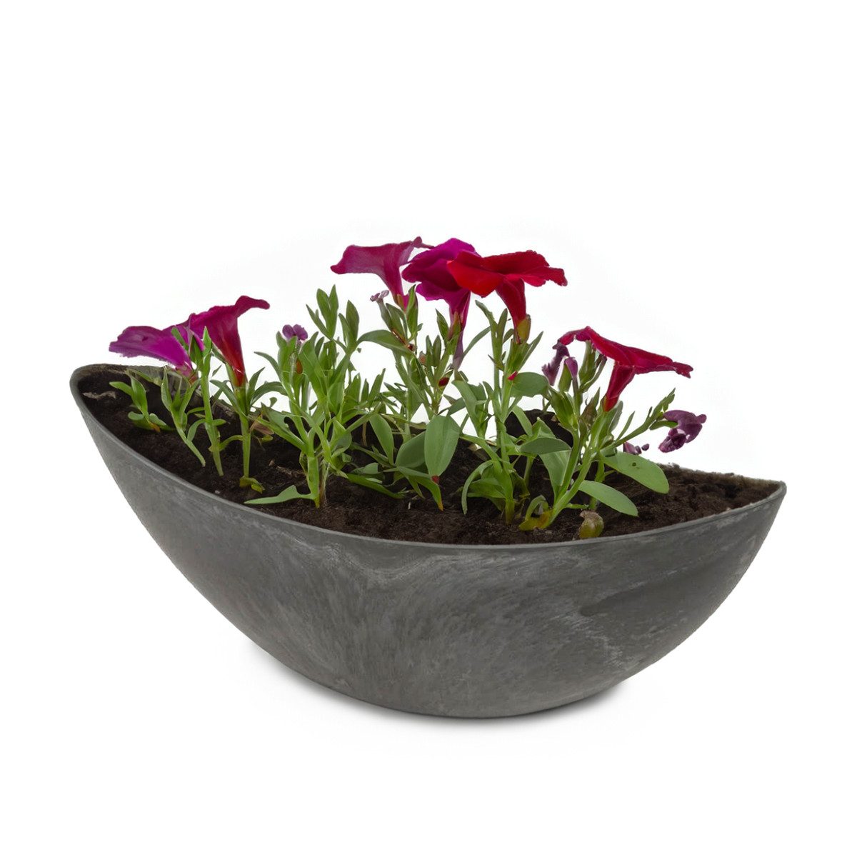 matches21 HOME & HOBBY Blumentopf Große ovale Pflanzschale Jardiniere 39 cm in Stein-Optik schwarz (1 St), Outdoor Schiff Deko-Schale als Blumen-Schale Pflanz-Topf Grab-Schmuck