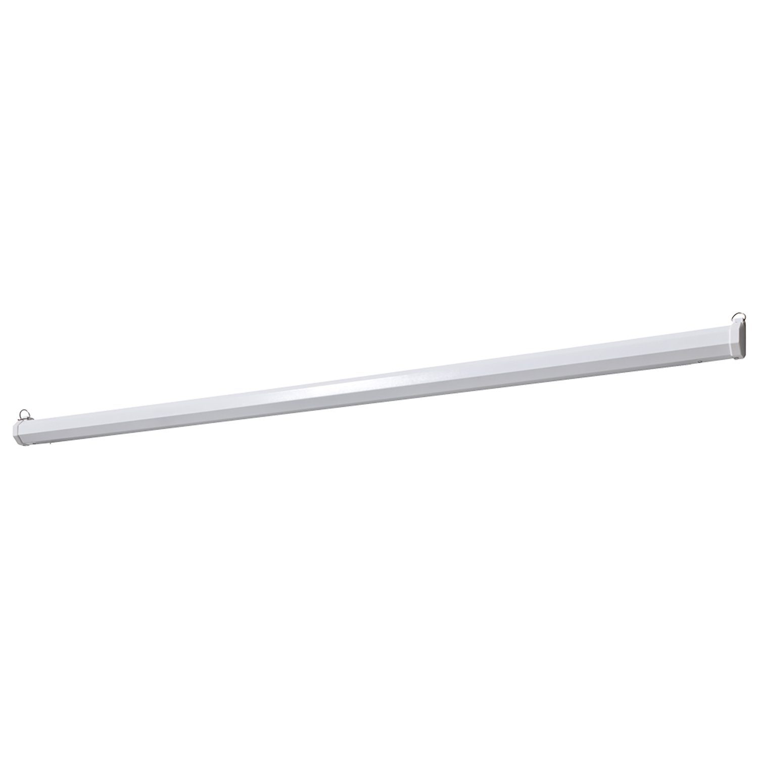 Celexon basic line Motorleinwand (schwarze Rückseite)