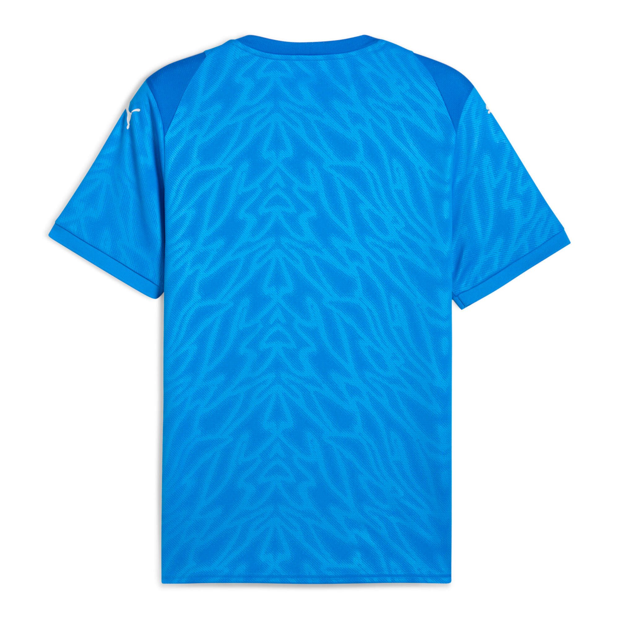 PUMA Fußballtrikot Puma Herren Trikot teamCUP Jersey 706272