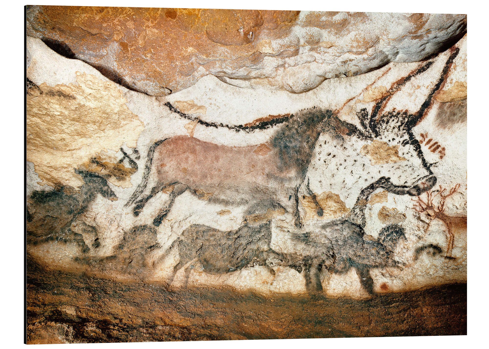 Posterlounge Alu-Dibond-Druck ARTOTHEK, Höhle von Lascaux, Auerochse und Pferde, Illustration