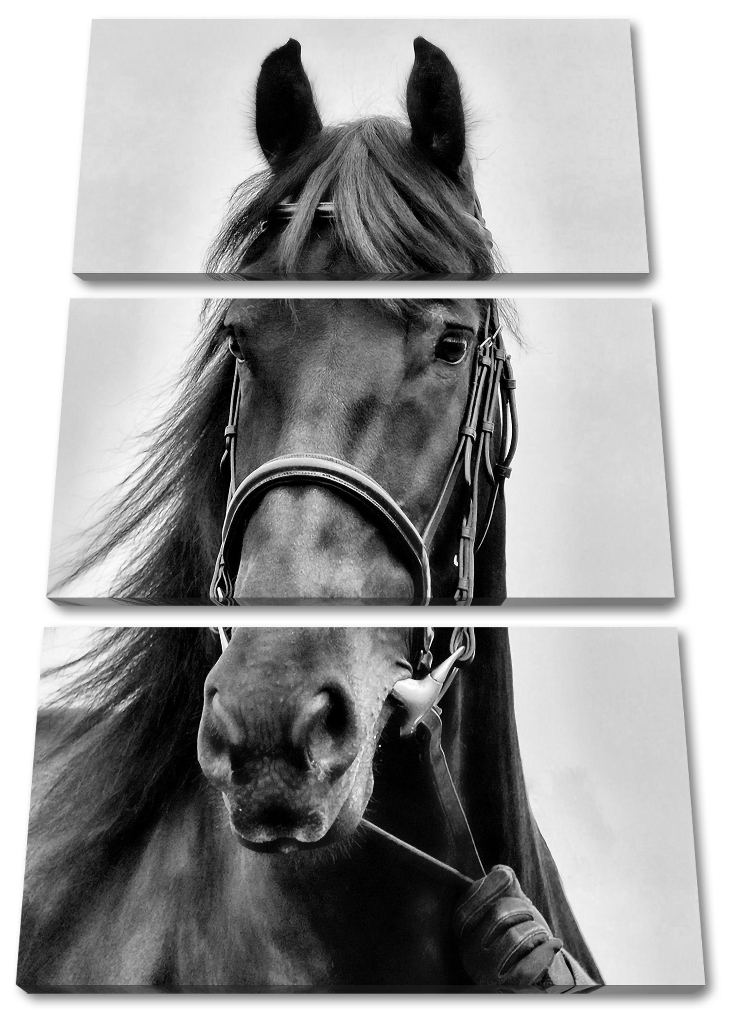 Pferd (120x80cm) braunes braunes Leinwandbild Pferd, inkl. St), (1 3Teiler fertig Pixxprint Leinwandbild Zackenaufhänger bespannt,