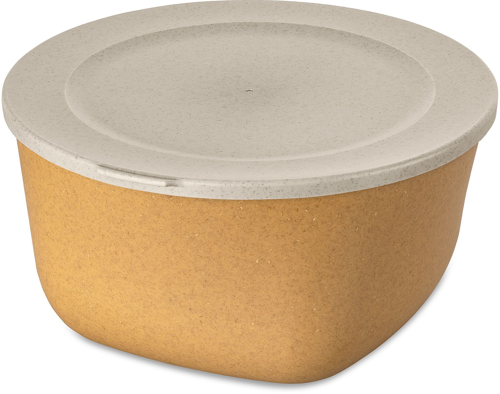 KOZIOL Frischhaltedose CONNECT BOX 4, Kunststoff, (1-tlg), spülmaschinengeeignet,melaminfrei,recycelbar 4L