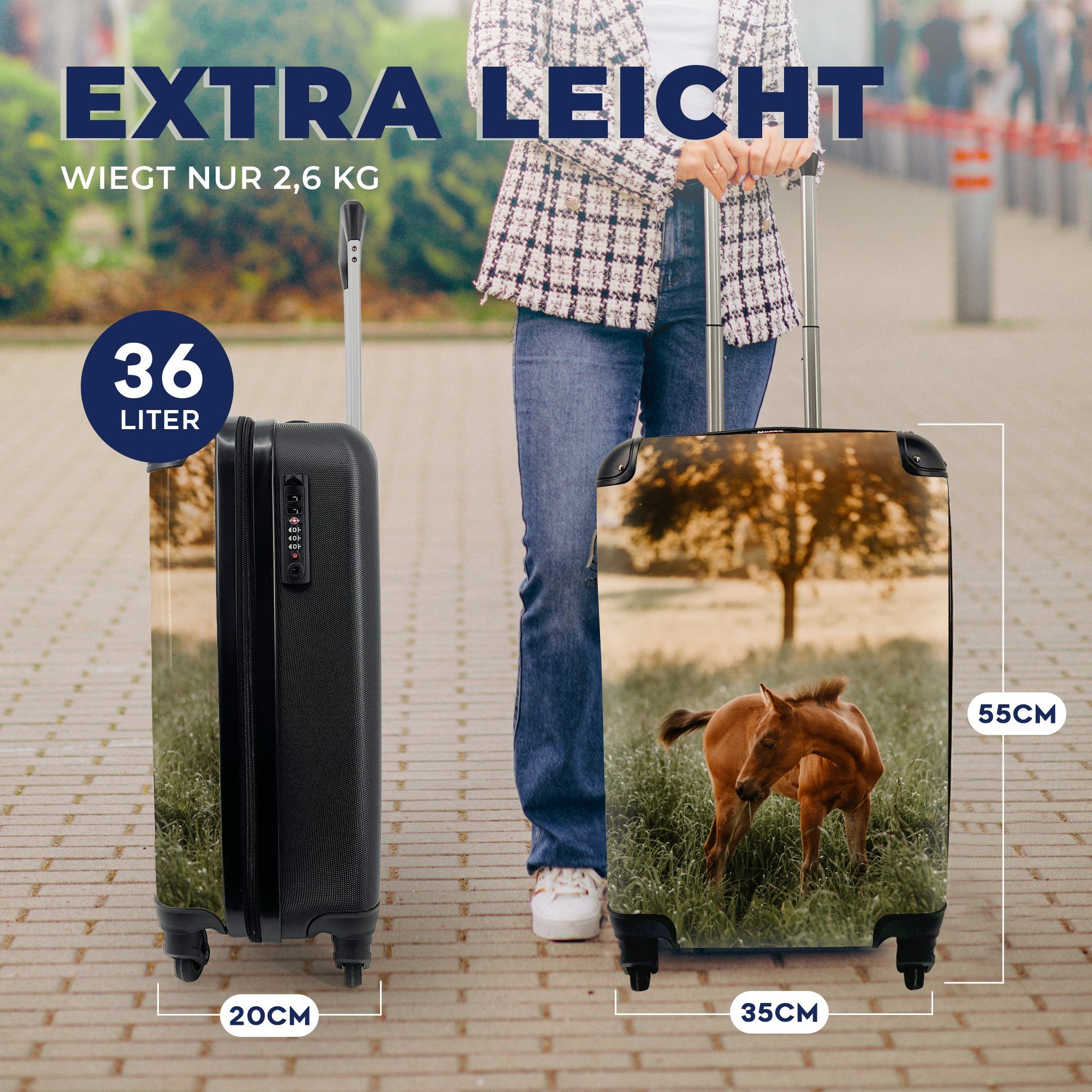 MuchoWow Handgepäckkoffer Pferd - Gras Reisekoffer mit 4 für Handgepäck Rollen, rollen, Reisetasche Baum, Trolley, - Ferien