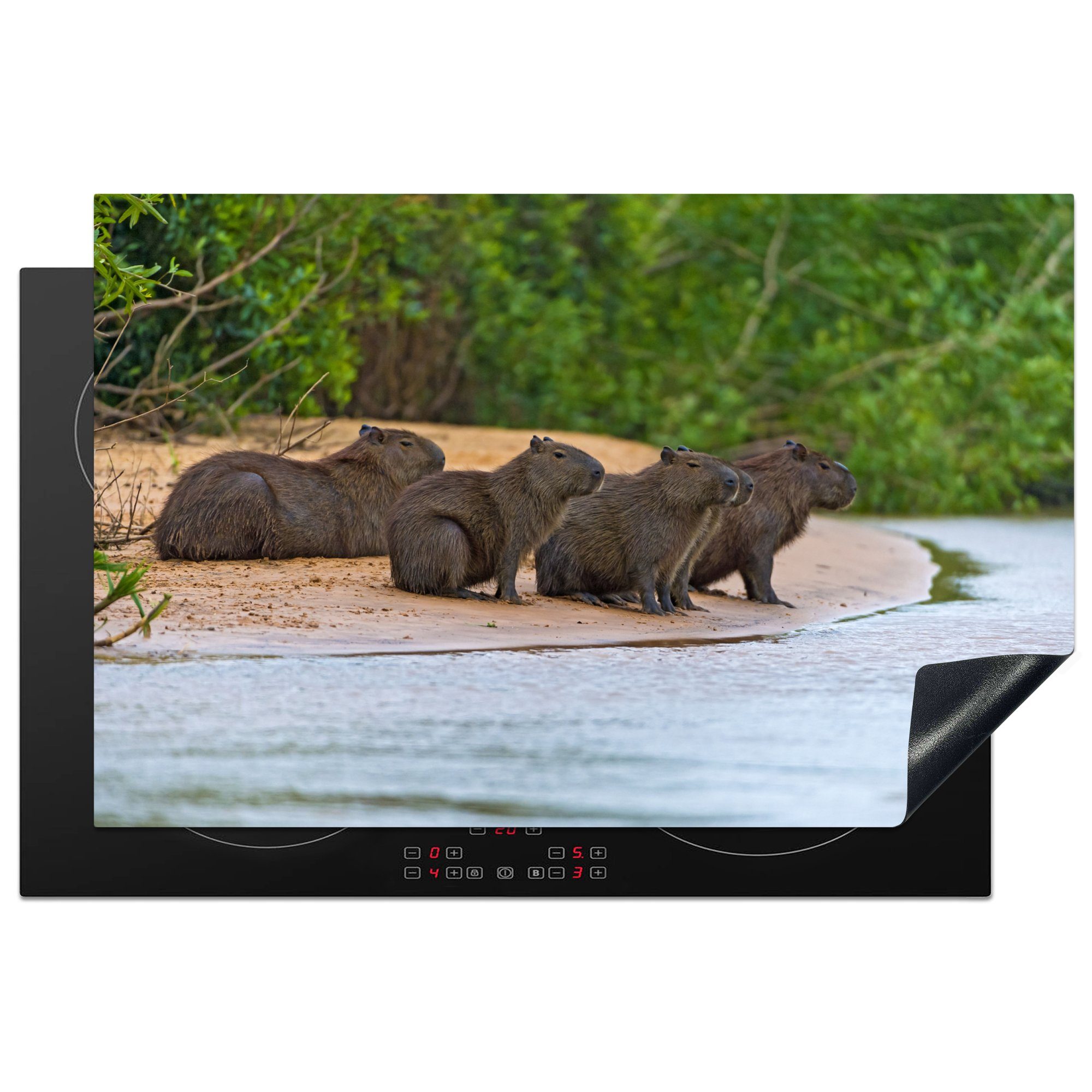 MuchoWow Herdblende-/Abdeckplatte Vier Wasserschweine sitzen auf einer Sandbank im Pantanal, Vinyl, (1 tlg), 81x52 cm, Induktionskochfeld Schutz für die küche, Ceranfeldabdeckung