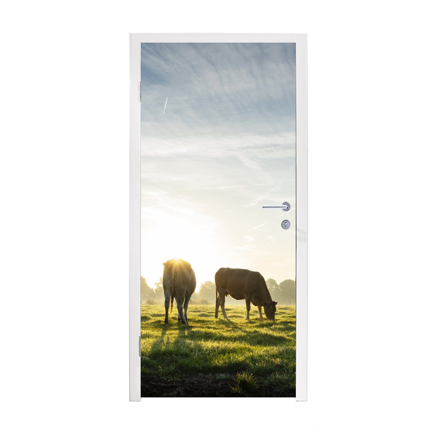MuchoWow Türtapete Kühe - Sonne - Gras, Matt, bedruckt, (1 St), Fototapete für Tür, Türaufkleber, 75x205 cm