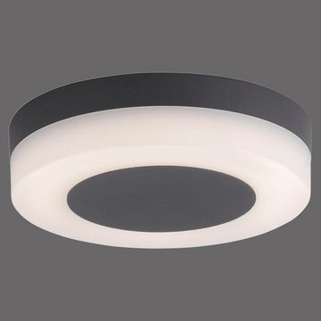 Paul Neuhaus LED Außen-Wandleuchte LED Wand- und Deckenleuchte Fabian in Anthrazit 16W 1100lm IP54 rund, keine Angabe, Leuchtmittel enthalten: Ja, fest verbaut, LED, warmweiss, Aussenlampe, Aussenwandleuchte, Outdoor-Leuchte