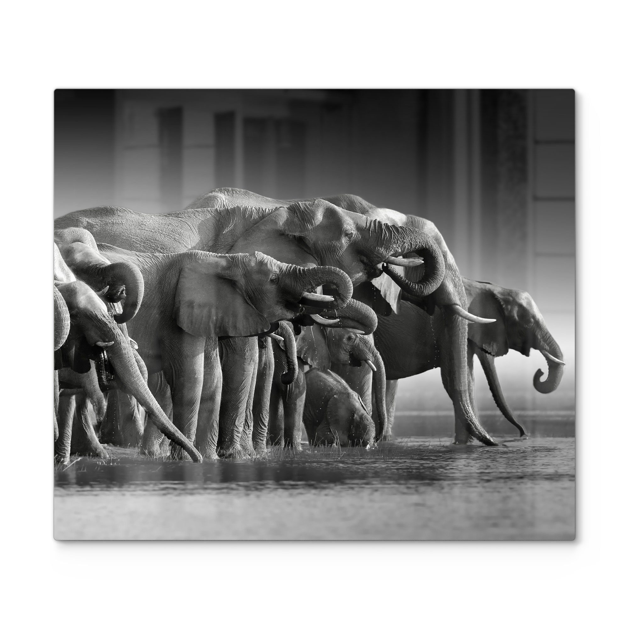 Hergestellt in Japan DEQORI Herdblende-/Abdeckplatte 'Elefantenherde am Herd (1 Herdabdeckplatte Glas Glas, Wasser', Ceranfeld tlg)