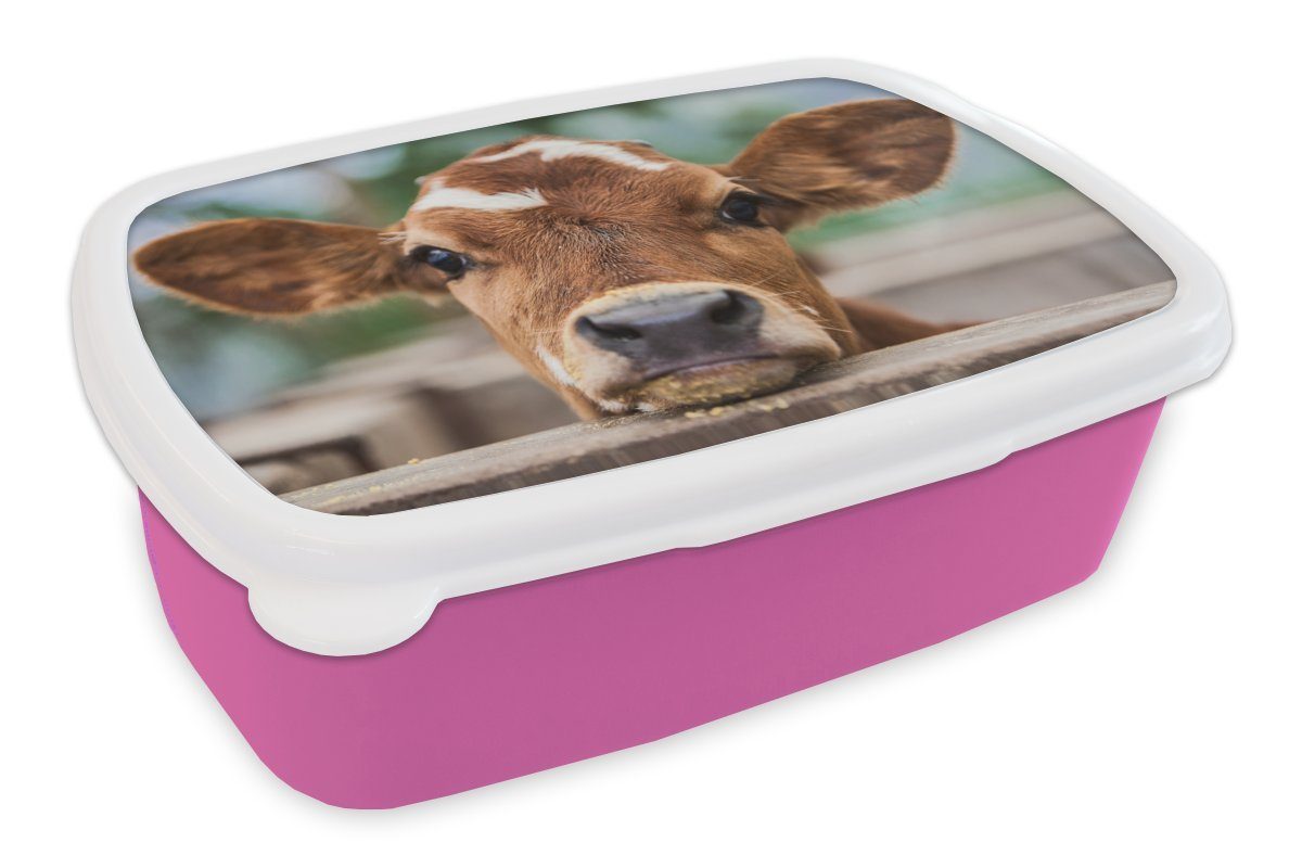 Holzbalken, Brotdose Kalb für Kunststoff, Erwachsene, seinen (2-tlg), einen Kunststoff Kopf an Lunchbox Kinder, Ein Brotbox rosa MuchoWow Mädchen, Snackbox, lehnt