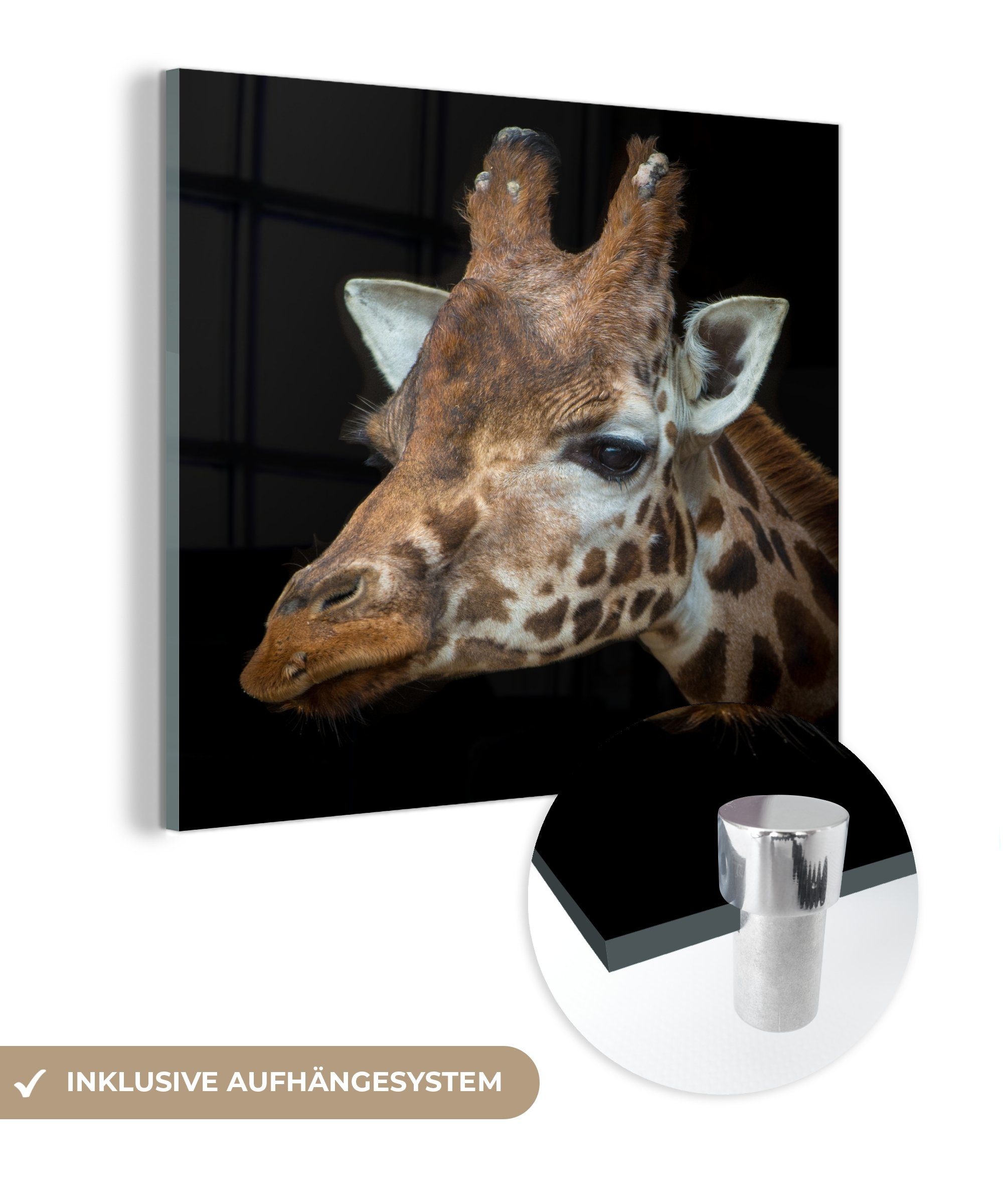 St), Acrylglasbild Wandbild - schwarzem Porträt MuchoWow auf auf einer Wanddekoration - Bilder (1 Glasbilder Glas Glas Giraffe auf Hintergrund, - Foto