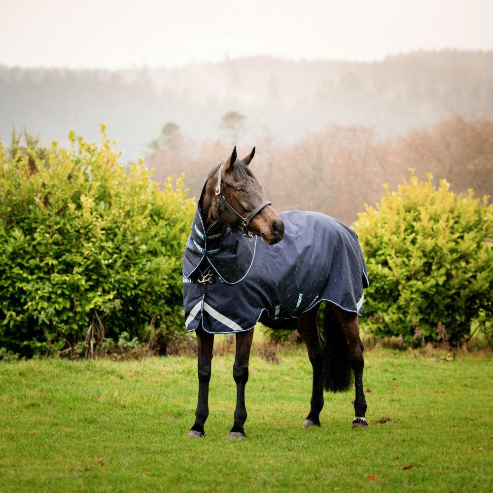 Horseware Pferde-Thermodecke Horseware Rambo Duo Force Turnout 100g + 100g + 300g - Navy/Navy