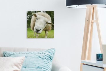 OneMillionCanvasses® Leinwandbild Schaf - Lustig - Wiese - Kinder - Jungen - Mädchen - Kind, (1 St), Leinwand Bilder für Wohnzimmer Schlafzimmer