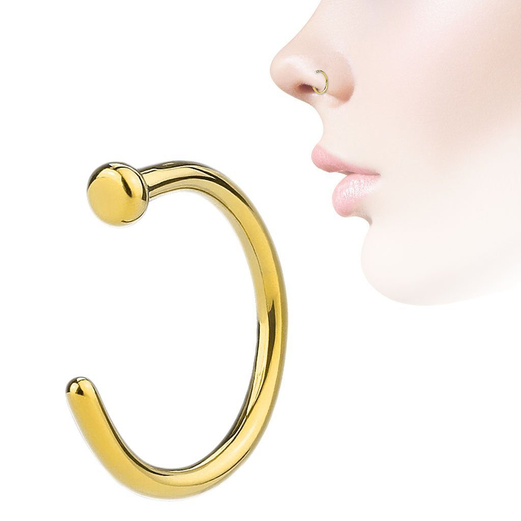 Taffstyle Nasenpiercing Fake Ring Piercing Hoop Septum Lippe Brust Intim, N günstig online kaufen