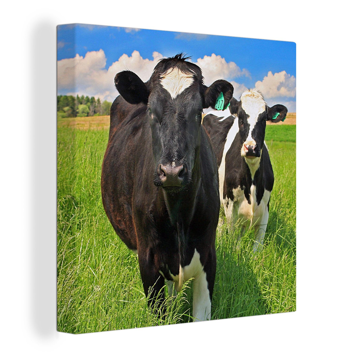 (1 Natur - OneMillionCanvasses® Leinwand Schlafzimmer bunt Bilder Leinwandbild Wohnzimmer Kuh für Gras - - St), Tiere,