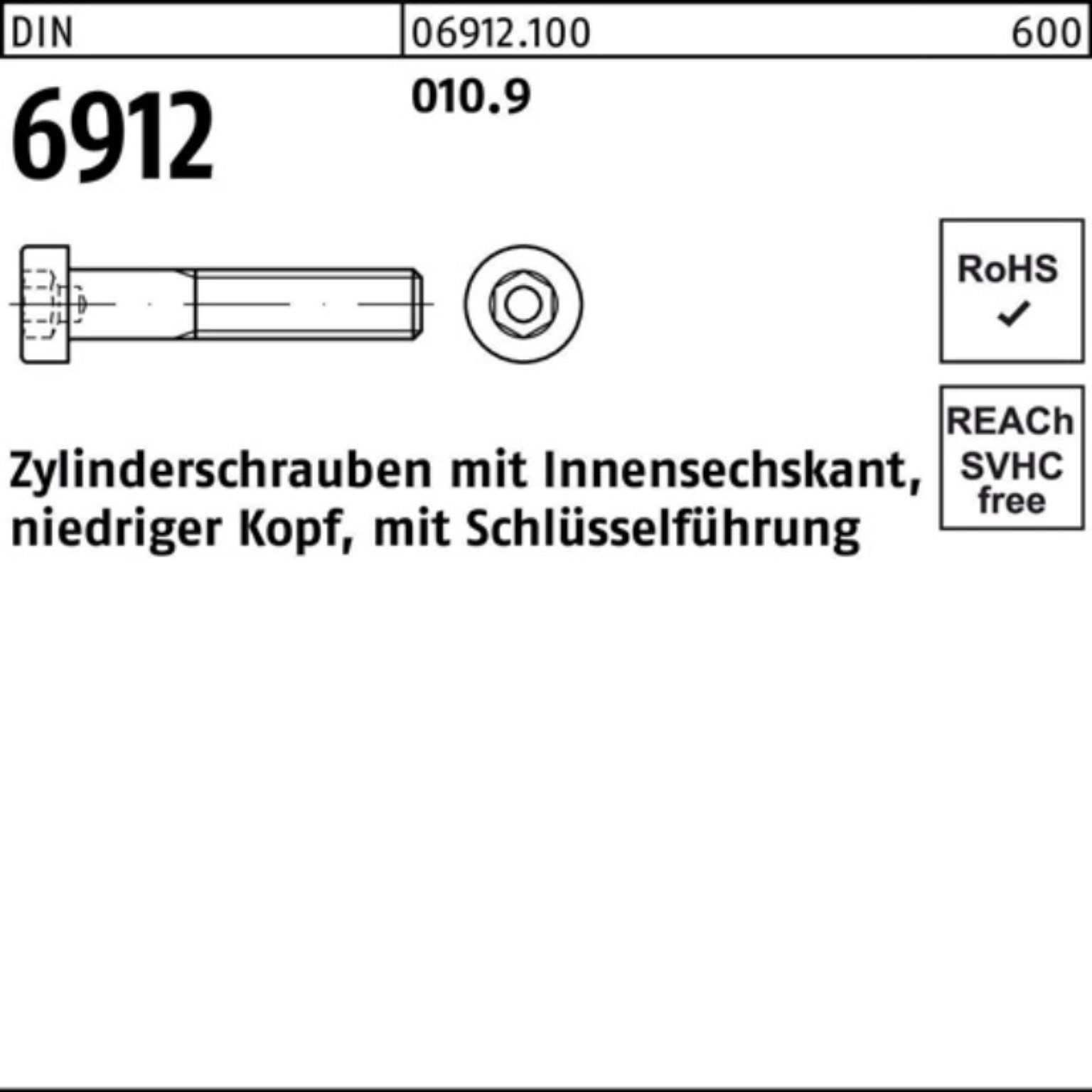 Pack 6912 Zylinderschraube Innen-6kt M6x Reyher Zylinderschraube 010.9 25 Stück DIN 500 500er