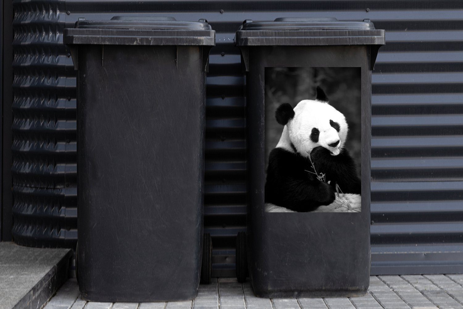 Wandsticker (1 weiß fressender und Mülltonne, Container, - Abfalbehälter St), Panda MuchoWow Ein Sticker, schwarz Mülleimer-aufkleber,