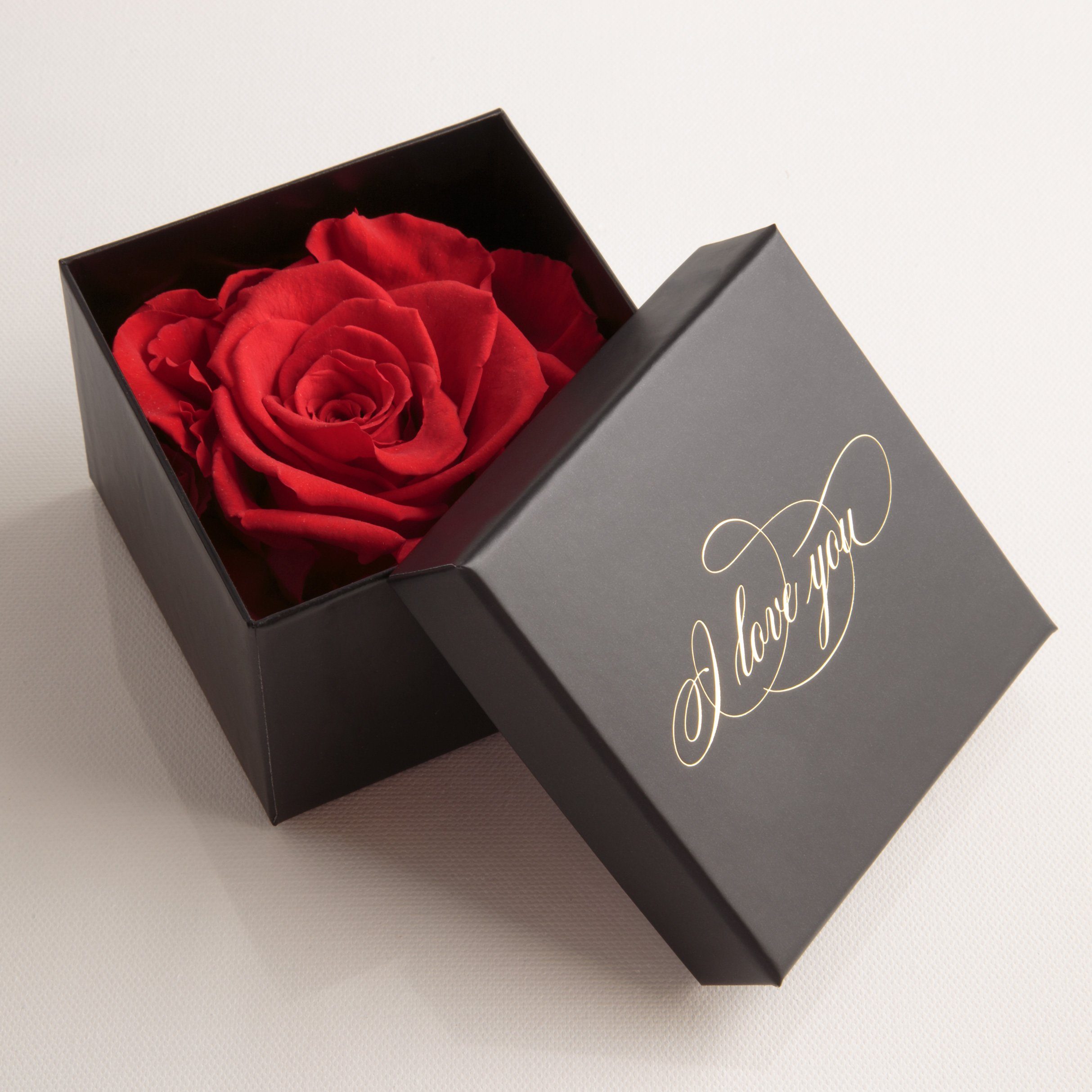 You Box I Höhe Rose Geschenk Rose Infinity cm, Rose, Heidelberg, Liebesbeweis 6 SCHULZ Kunstblume konserviert Echte ROSEMARIE Love Rot Idee