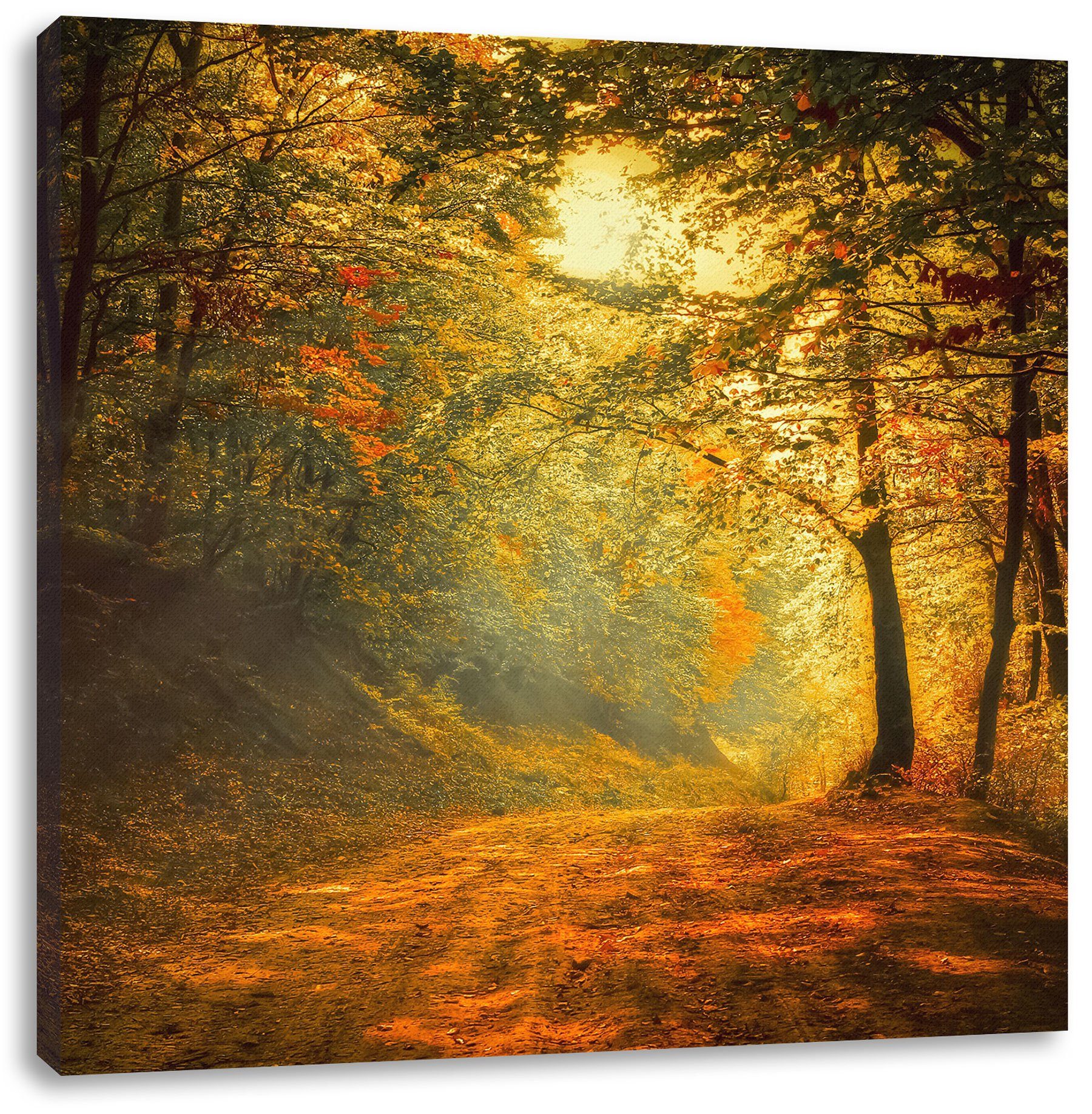 Pixxprint Leinwandbild Wald, Wald (1 St), Leinwandbild fertig bespannt, inkl. Zackenaufhänger