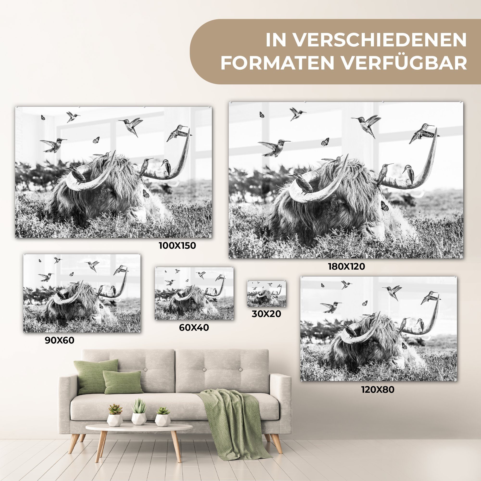 MuchoWow Acrylglasbild - Wohnzimmer - Vogel Highlander St), (1 Schottischer Schlafzimmer & Schwarz - Acrylglasbilder Weiß