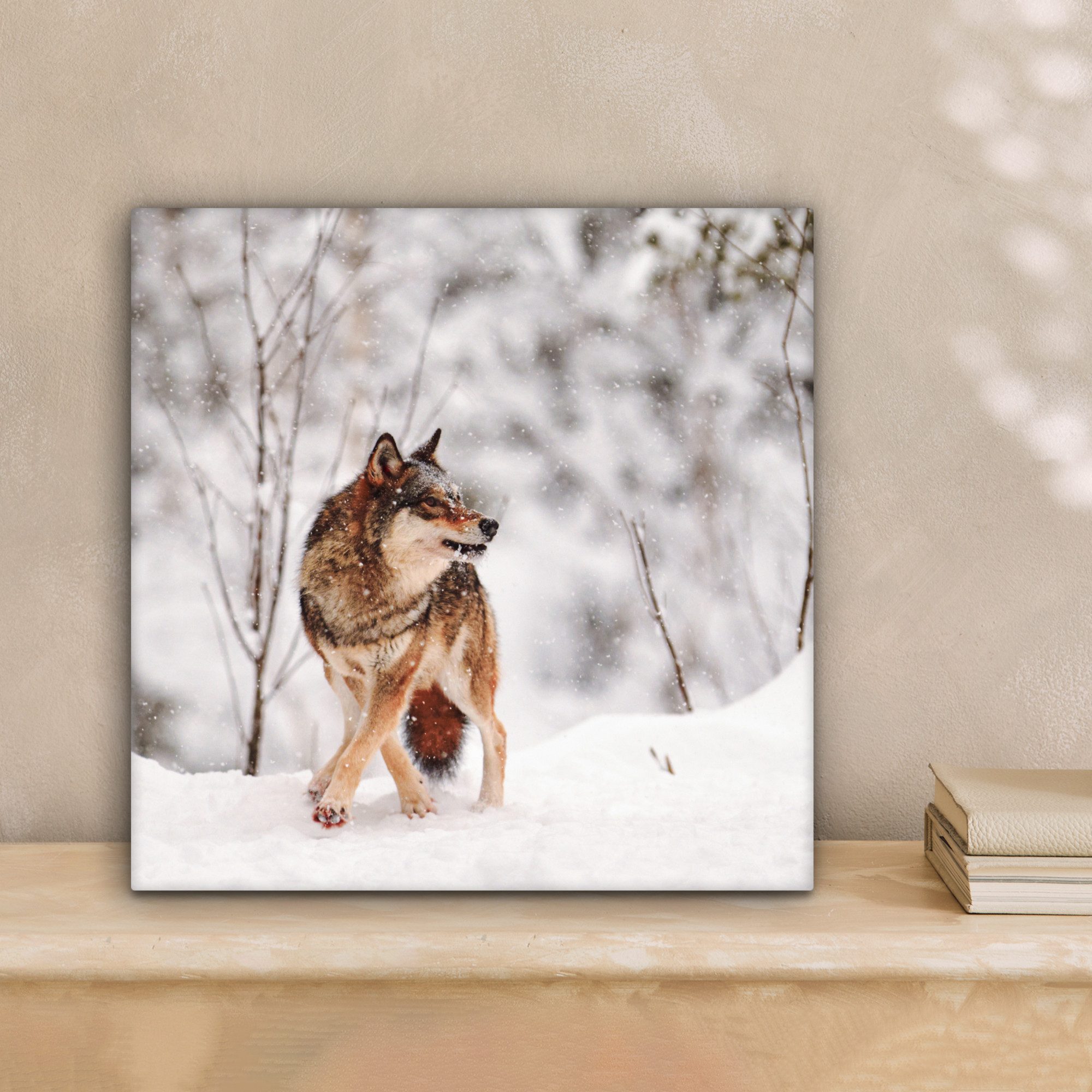OneMillionCanvasses® Leinwandbild Wolf - Winter - günstig online kaufen