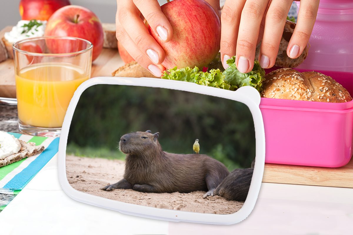 Lunchbox rosa Kunststoff für kleinen (2-tlg), Kunststoff, Ein einem MuchoWow Snackbox, Erwachsene, mit Capybara Kinder, Brotdose Vogel Mädchen, Brotbox darauf,